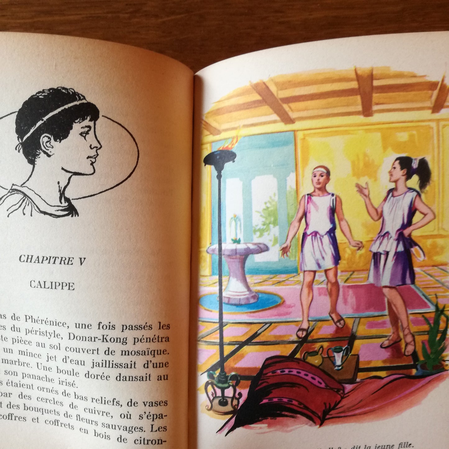 Livre jeunesse Bibliothèque Verte Hachette