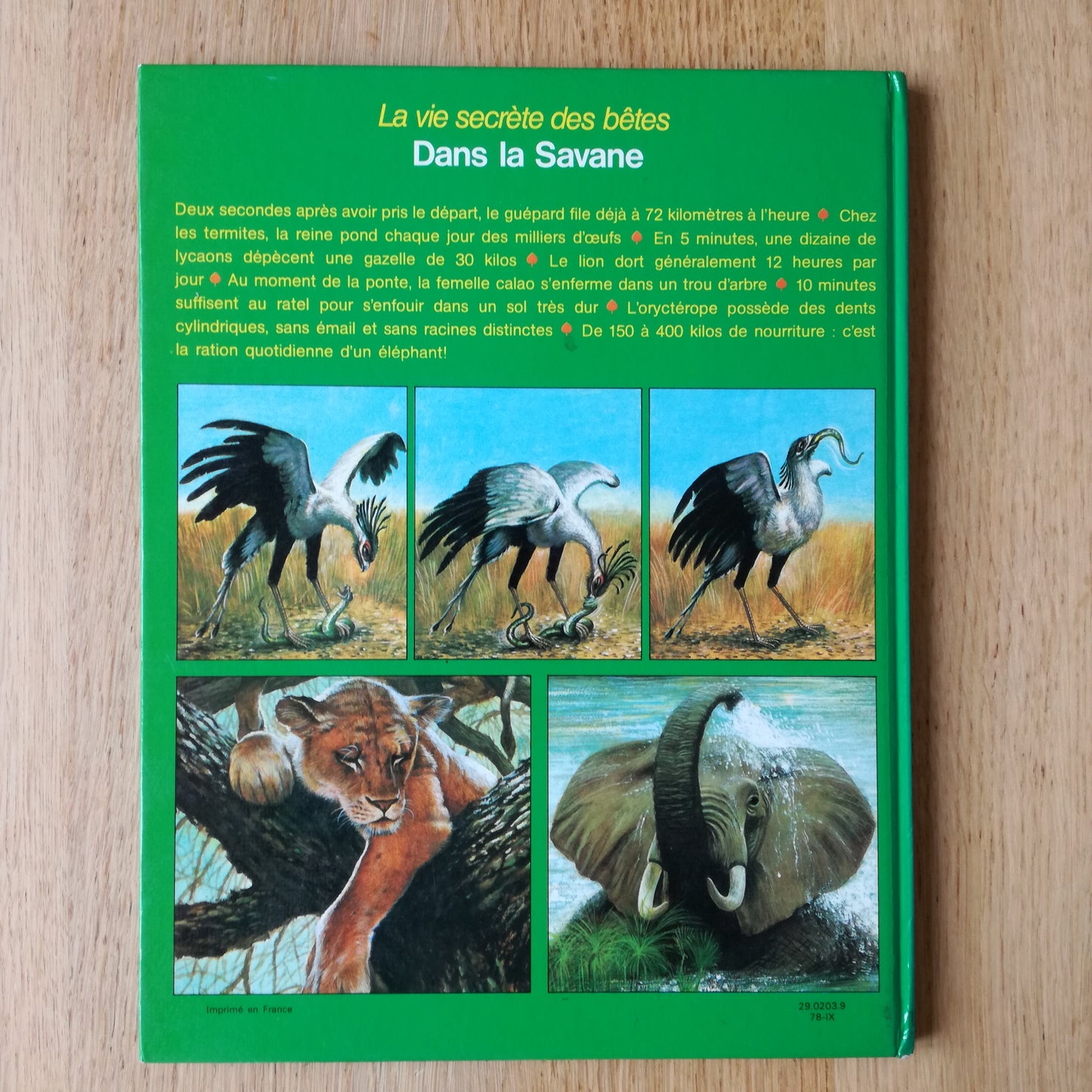 Livre jeunesse La vie secrète des bêtes Hachette
