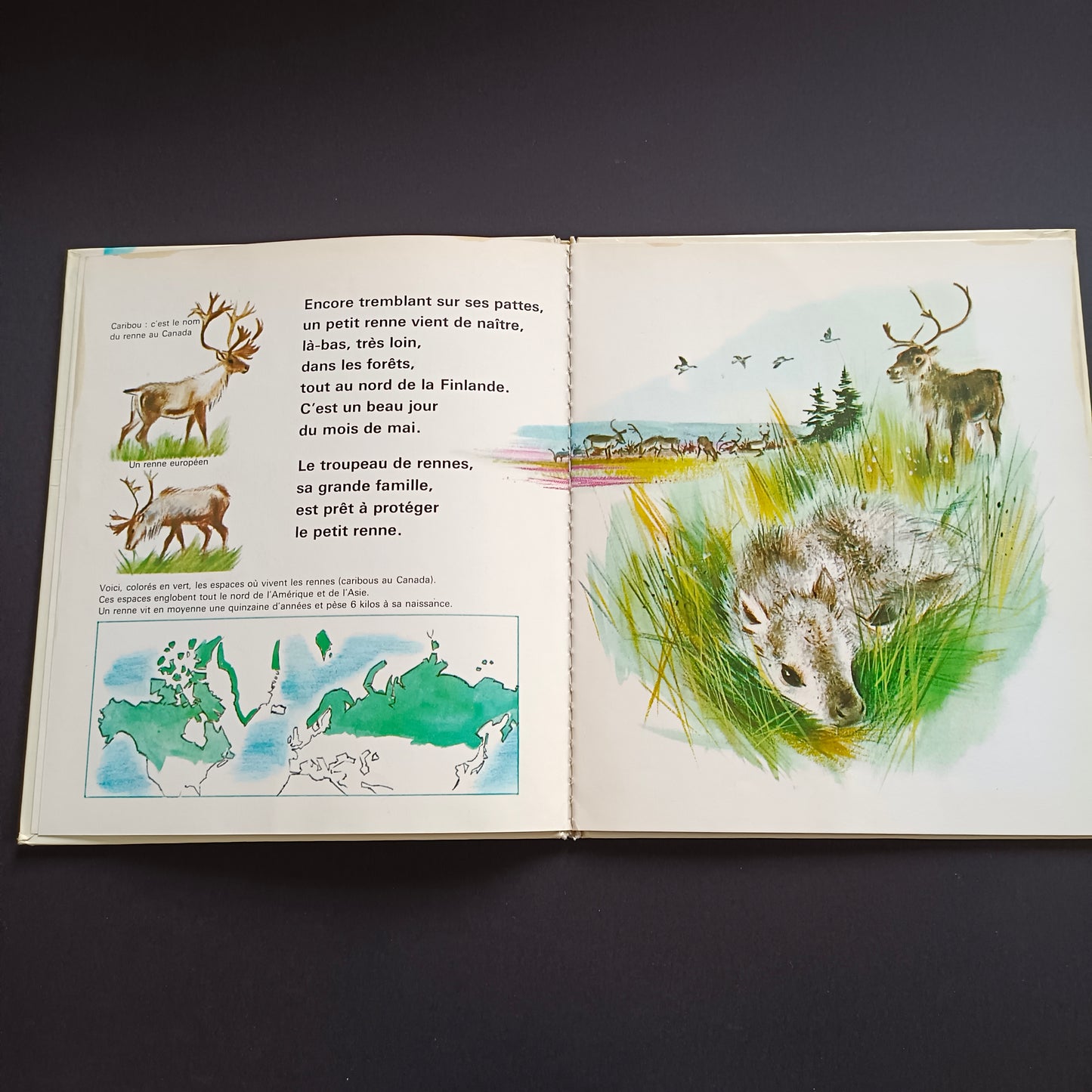 Livre jeunesse Un Album Coccinelle Fernand Nathan