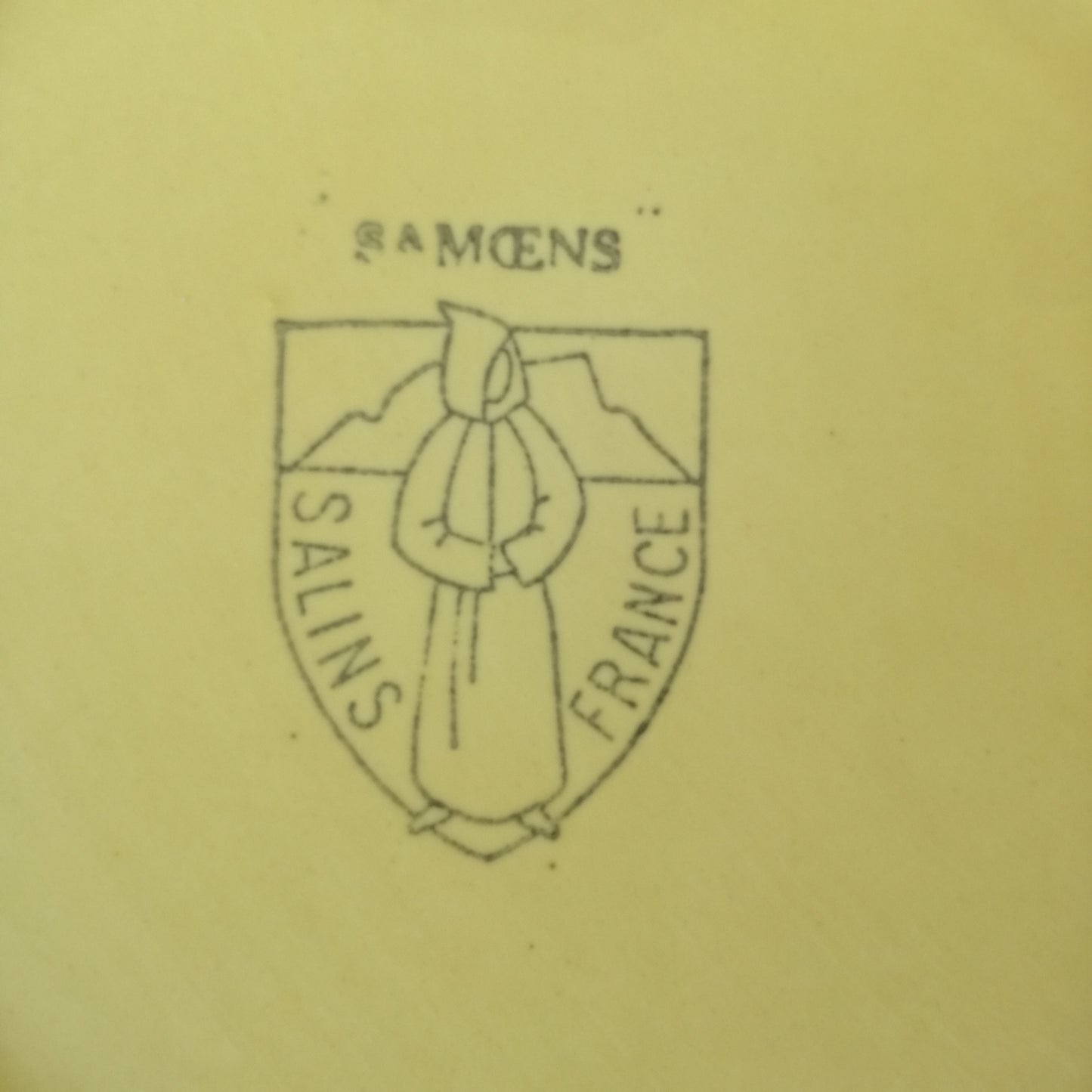 Plat Samoens Salins