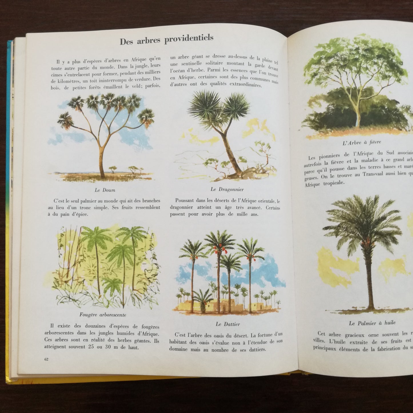 Encyclopédie Encyclopédie en couleurs Hachette