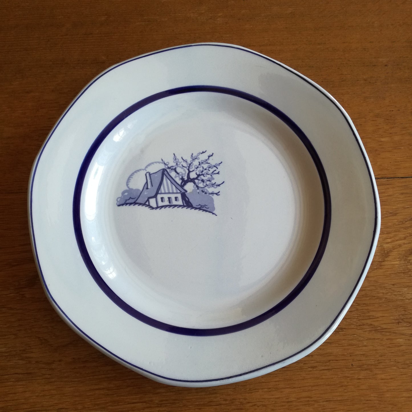 Plat Aubépine Sarreguemines