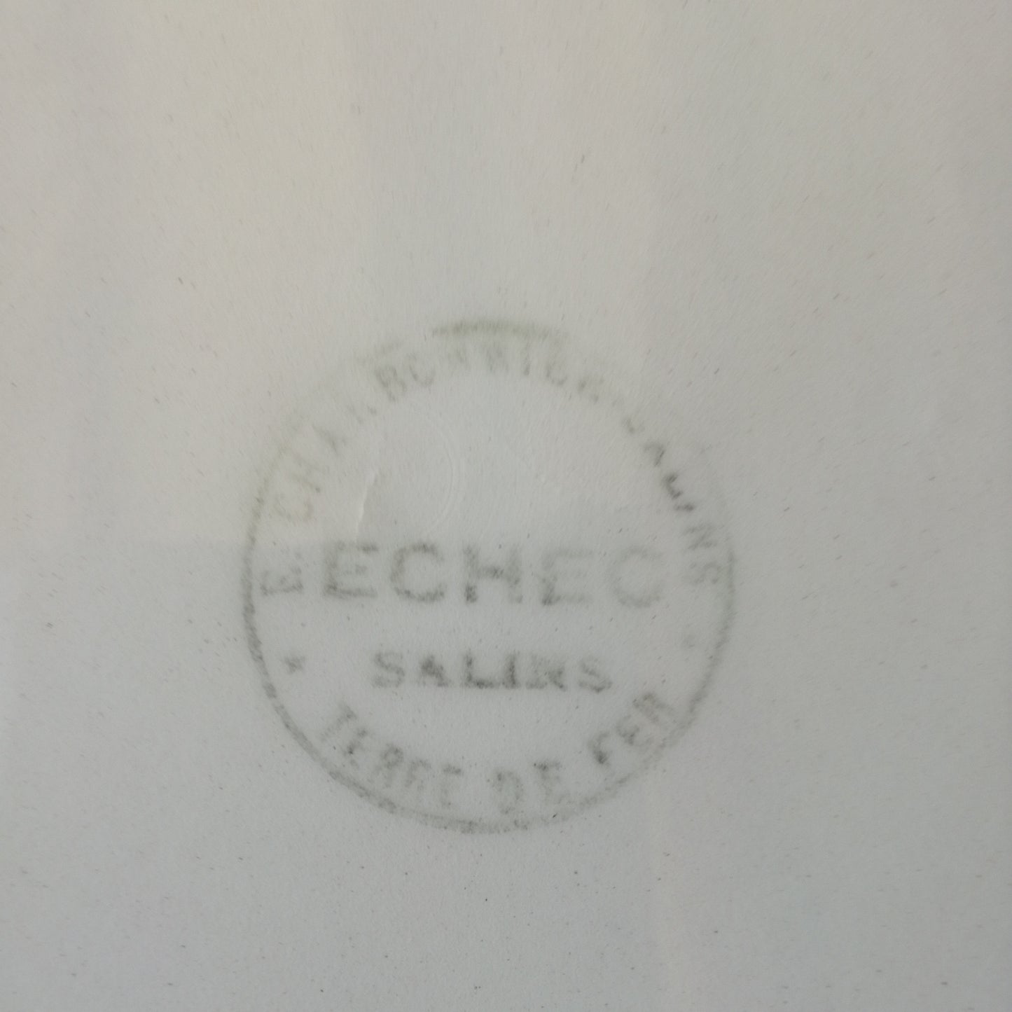 Plat Salins
