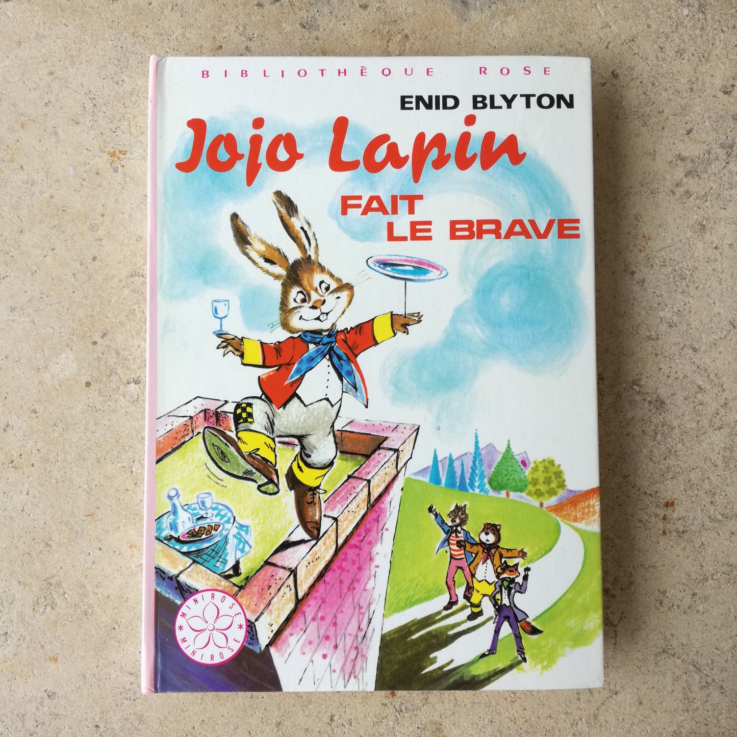 Livre jeunesse Jojo Lapin Hachette