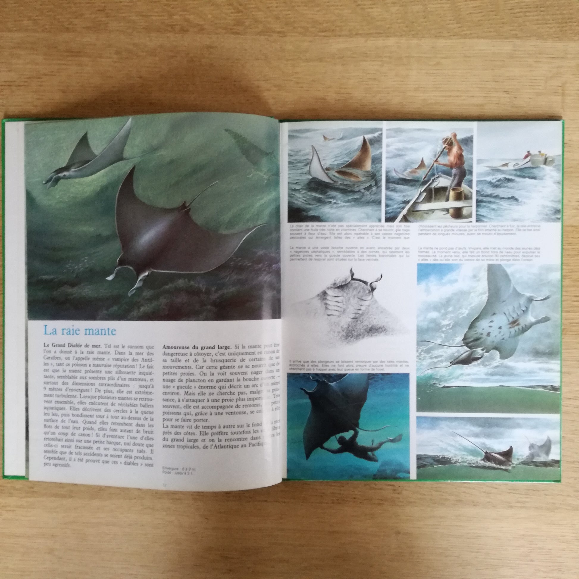 Livre jeunesse La vie secrète des bêtes Hachette