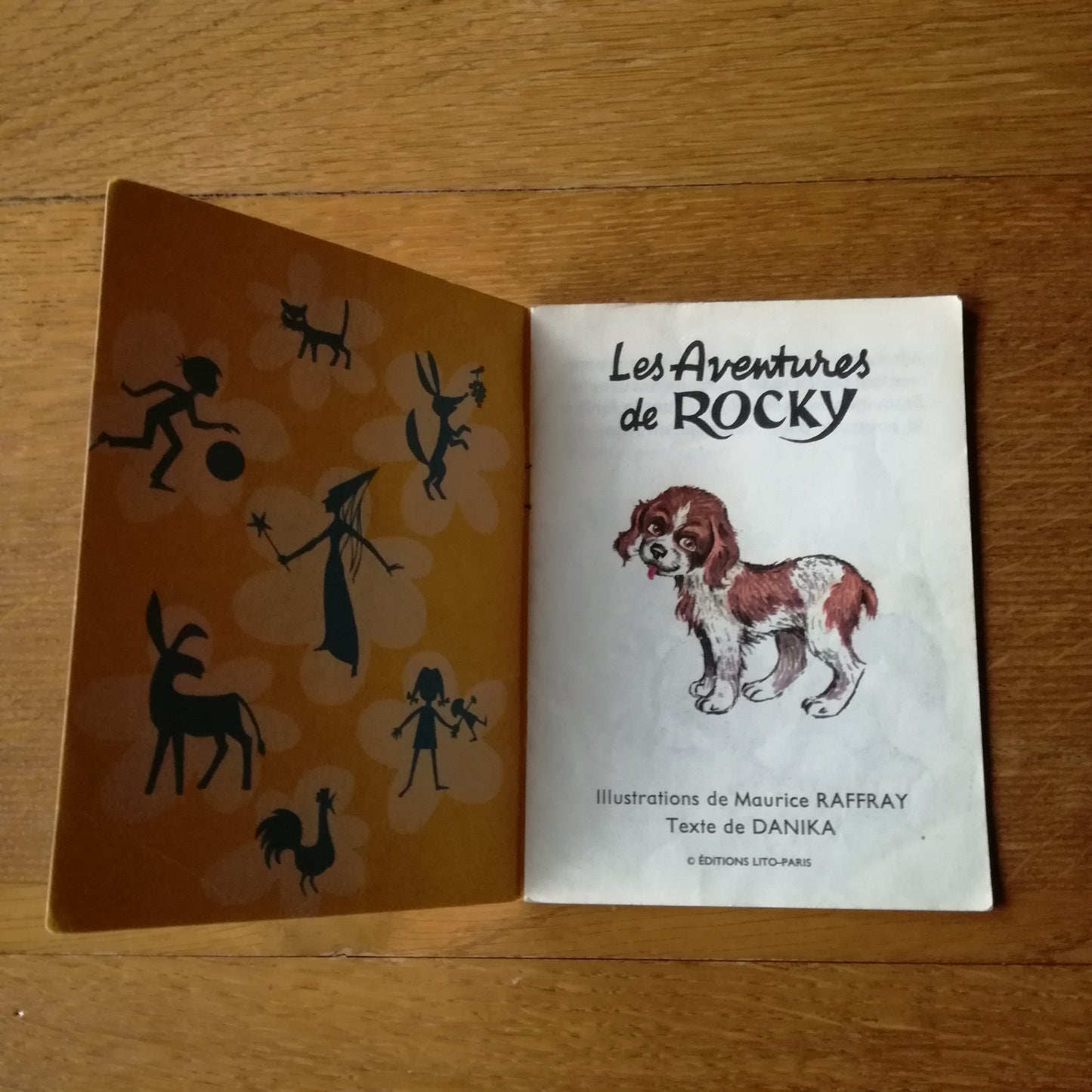 Livre jeunesse Junior Lito