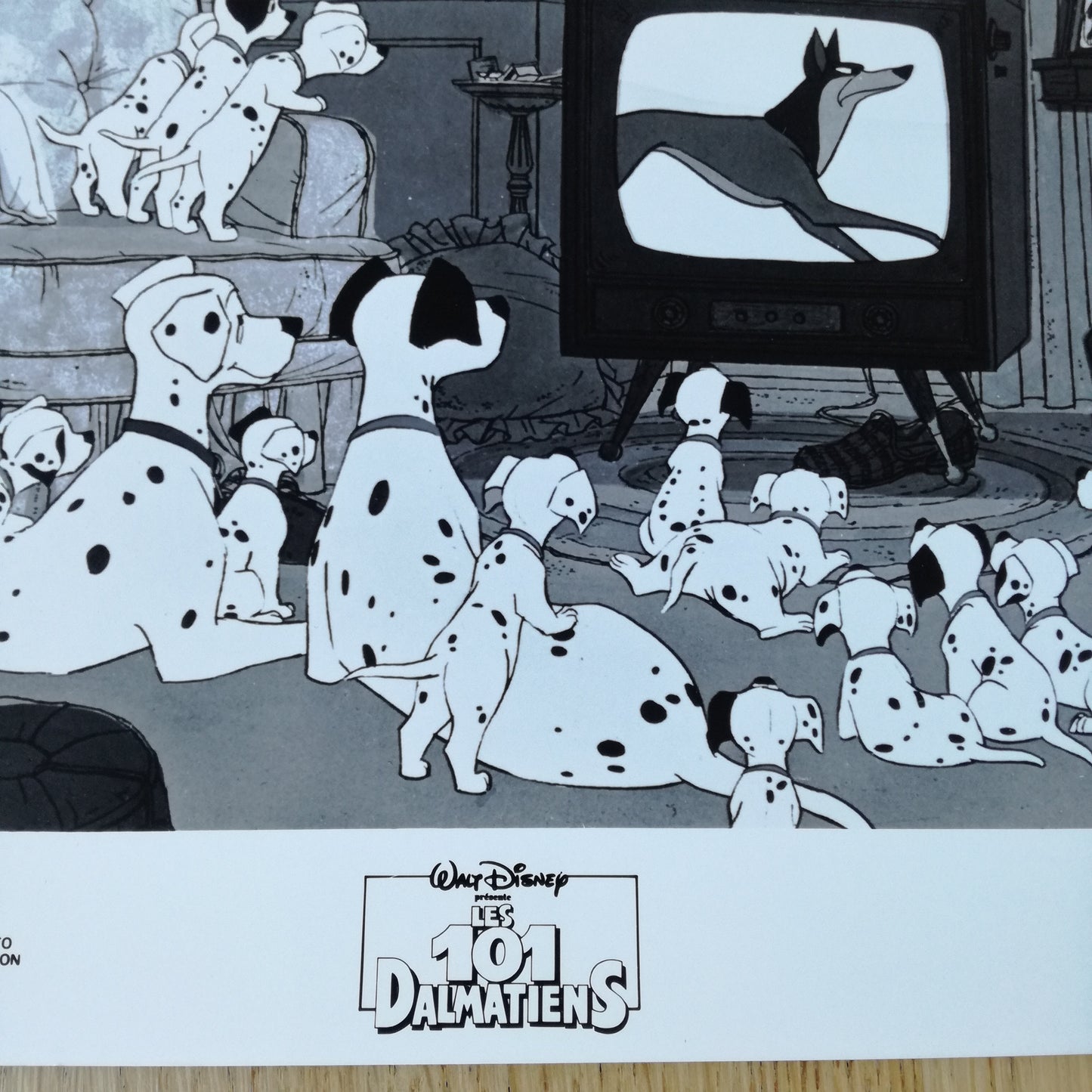 Photographie Walt Disney