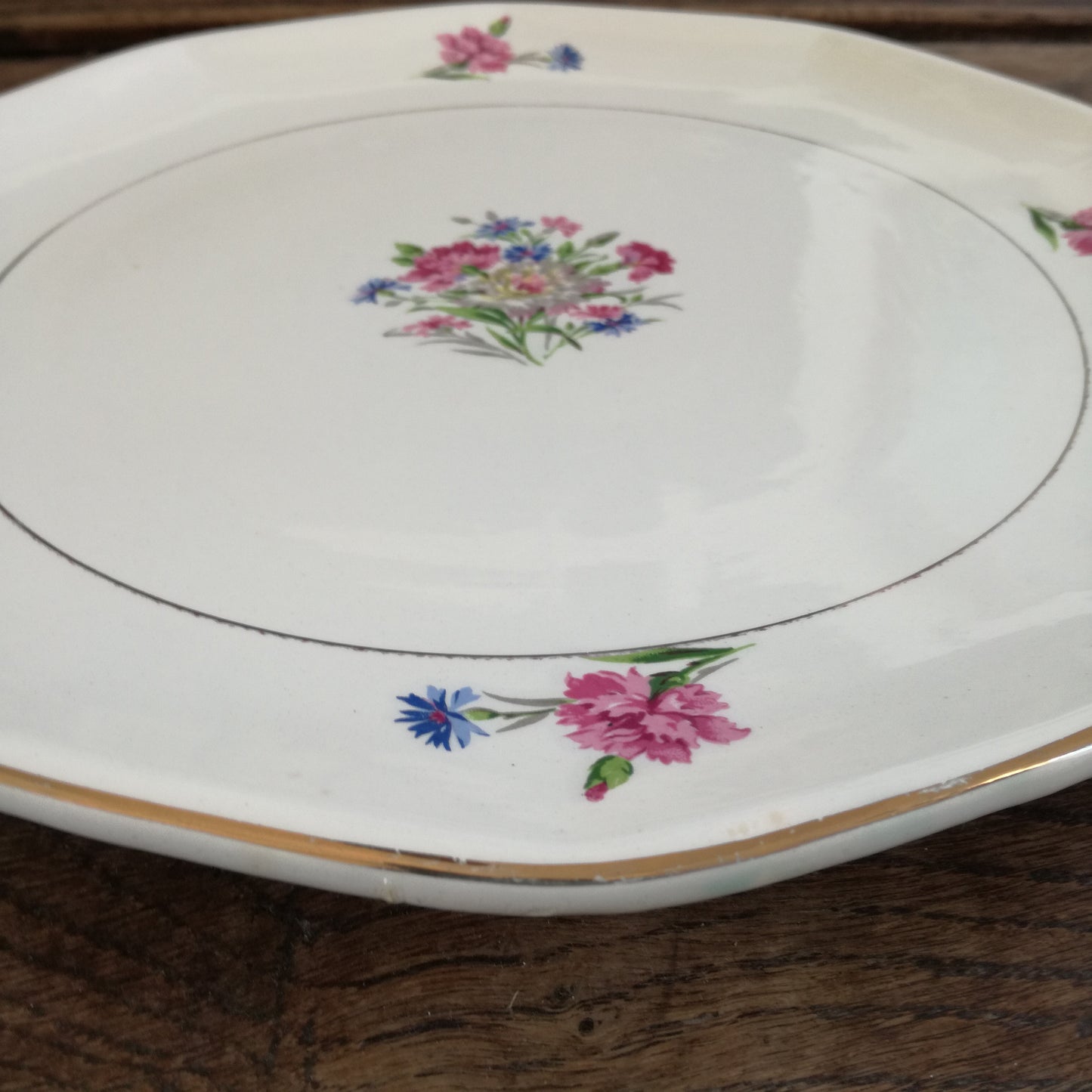 Plat Nice Digoin & Sarreguemines