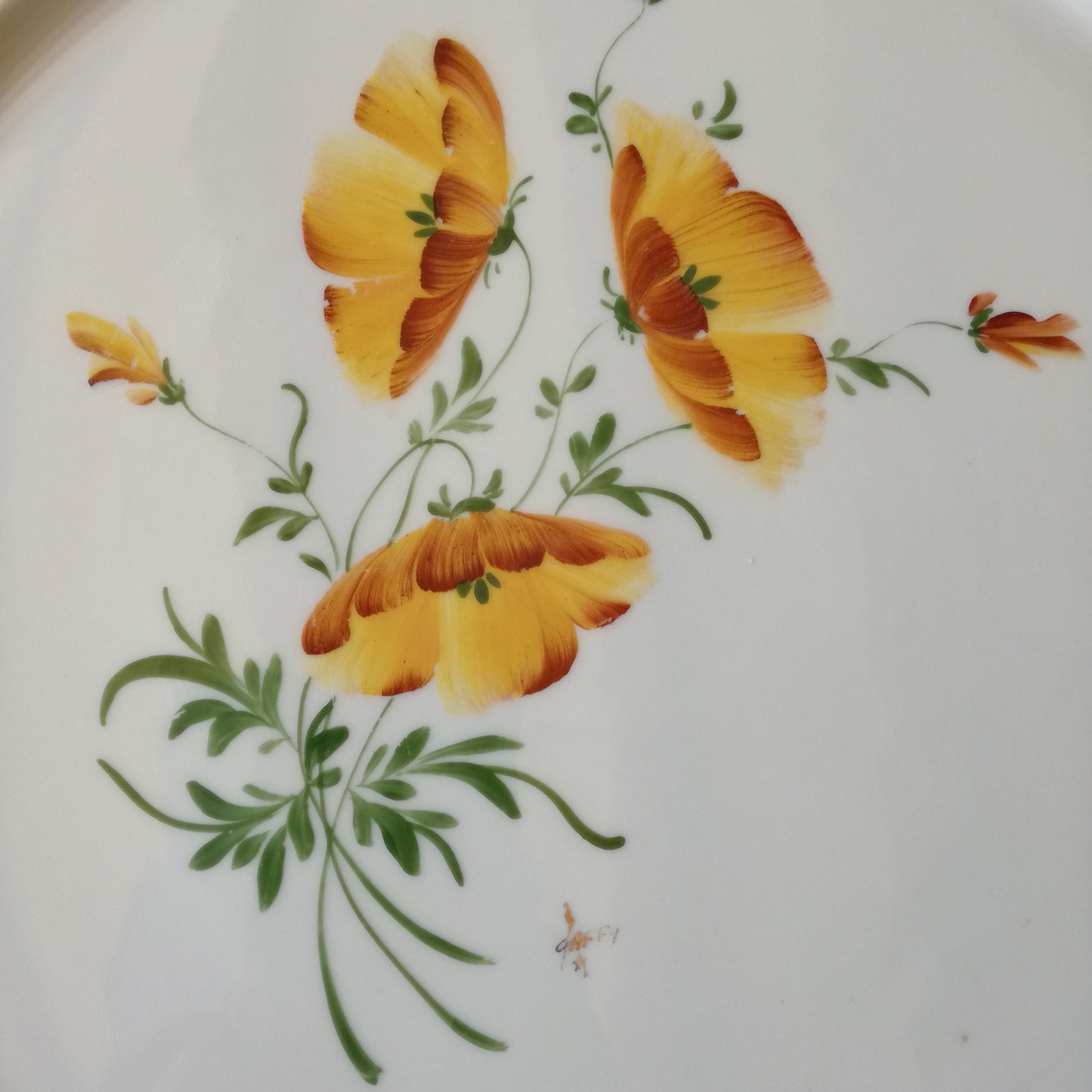 Plat Limoges