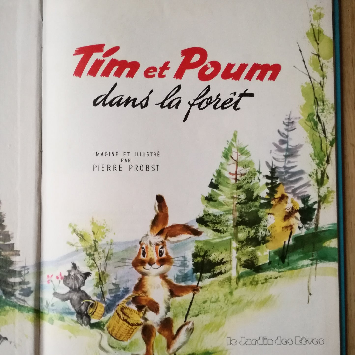 Livre jeunesse Le Jardin des Rêves
