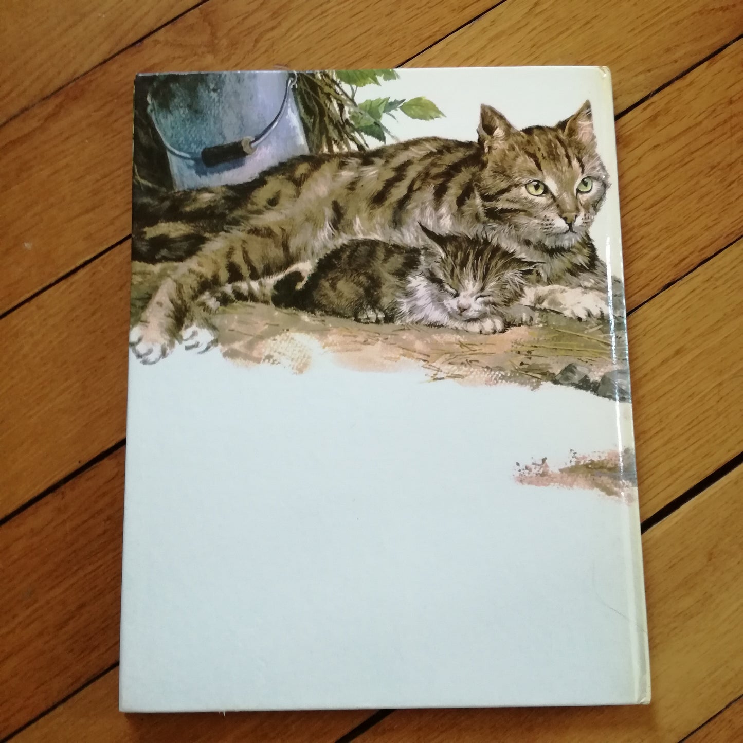 Livre jeunesse Les petits des... Touret