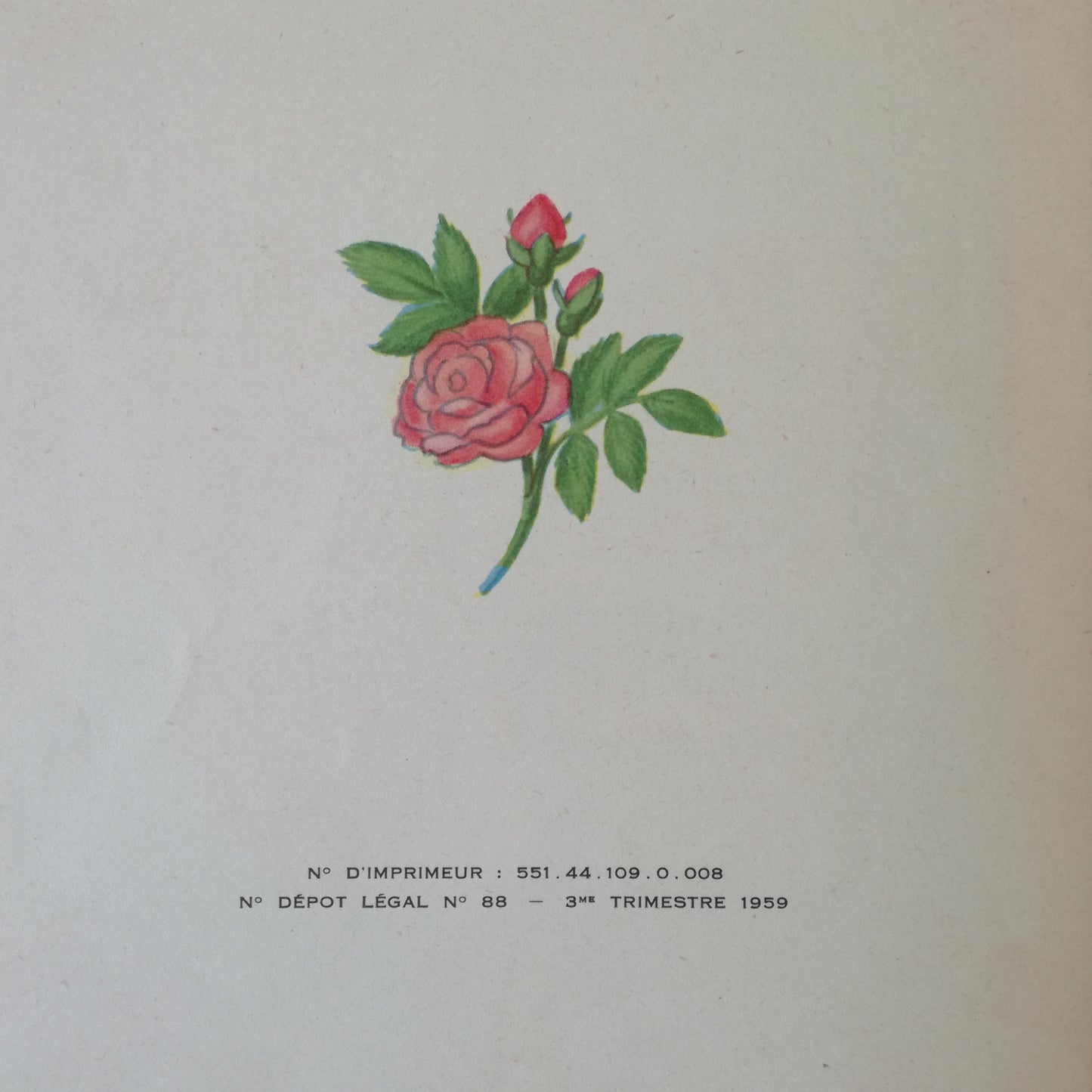 Livre jeunesse Papillon Beuchet et Vanden Brugge