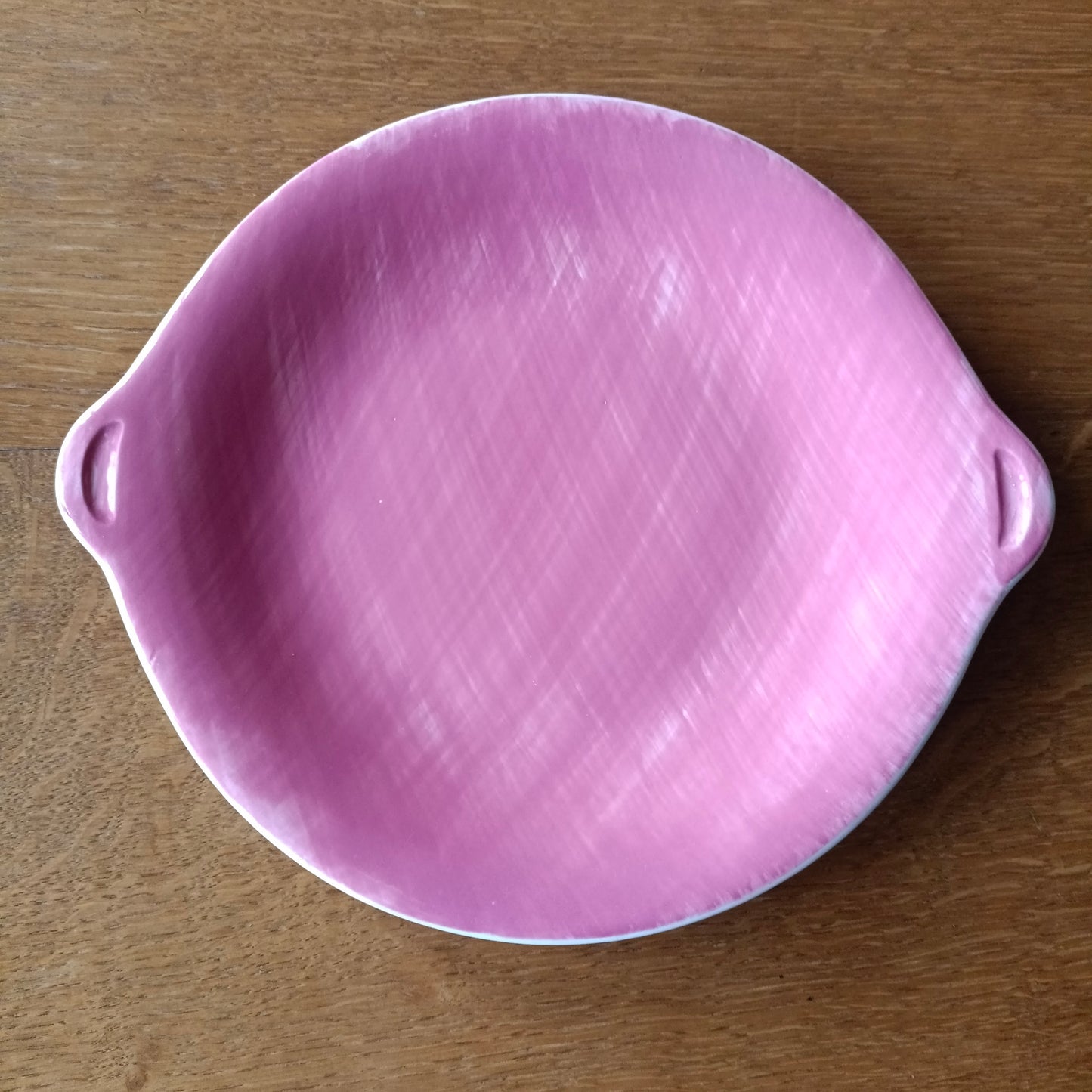 Plat Mistral Salins