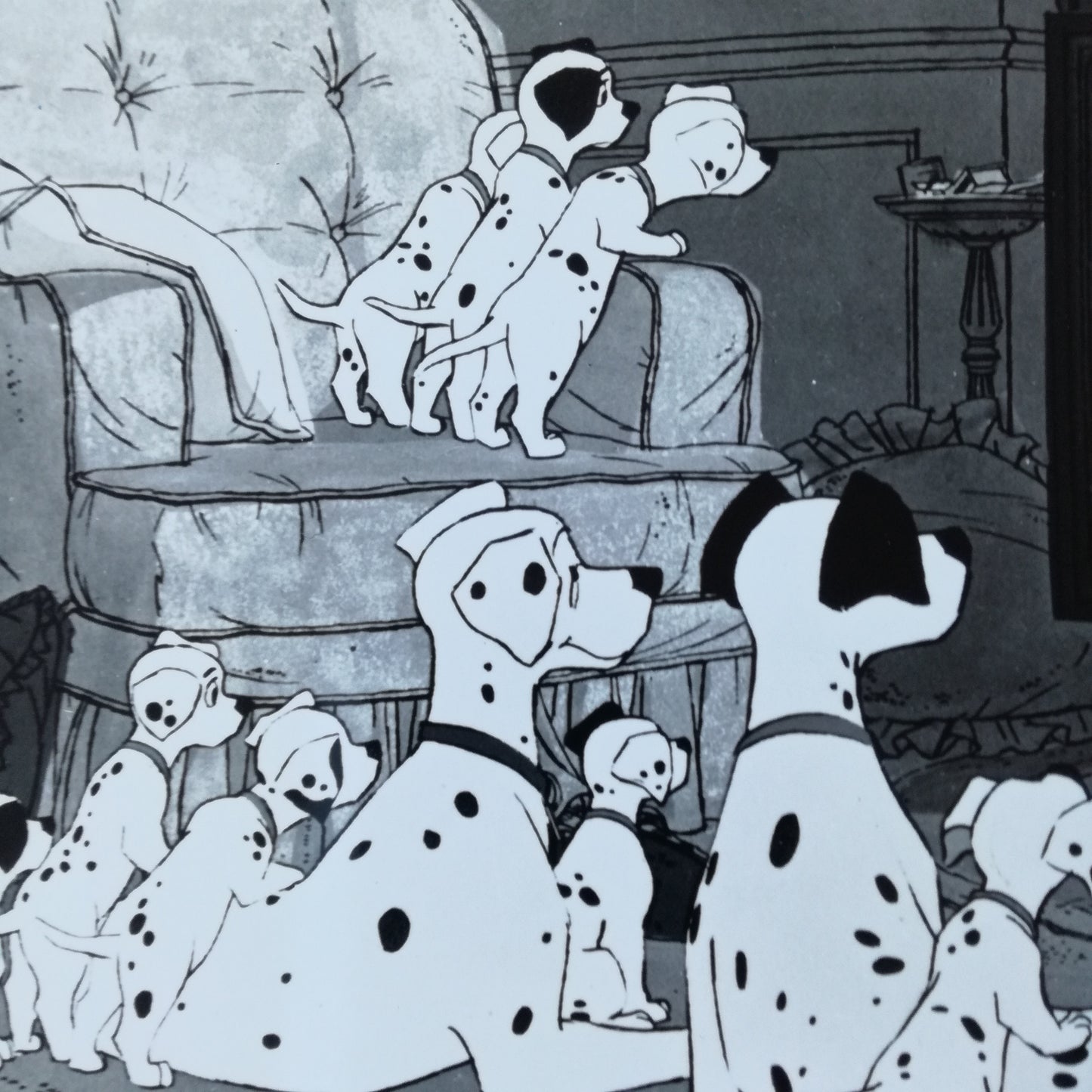 Photographie Walt Disney