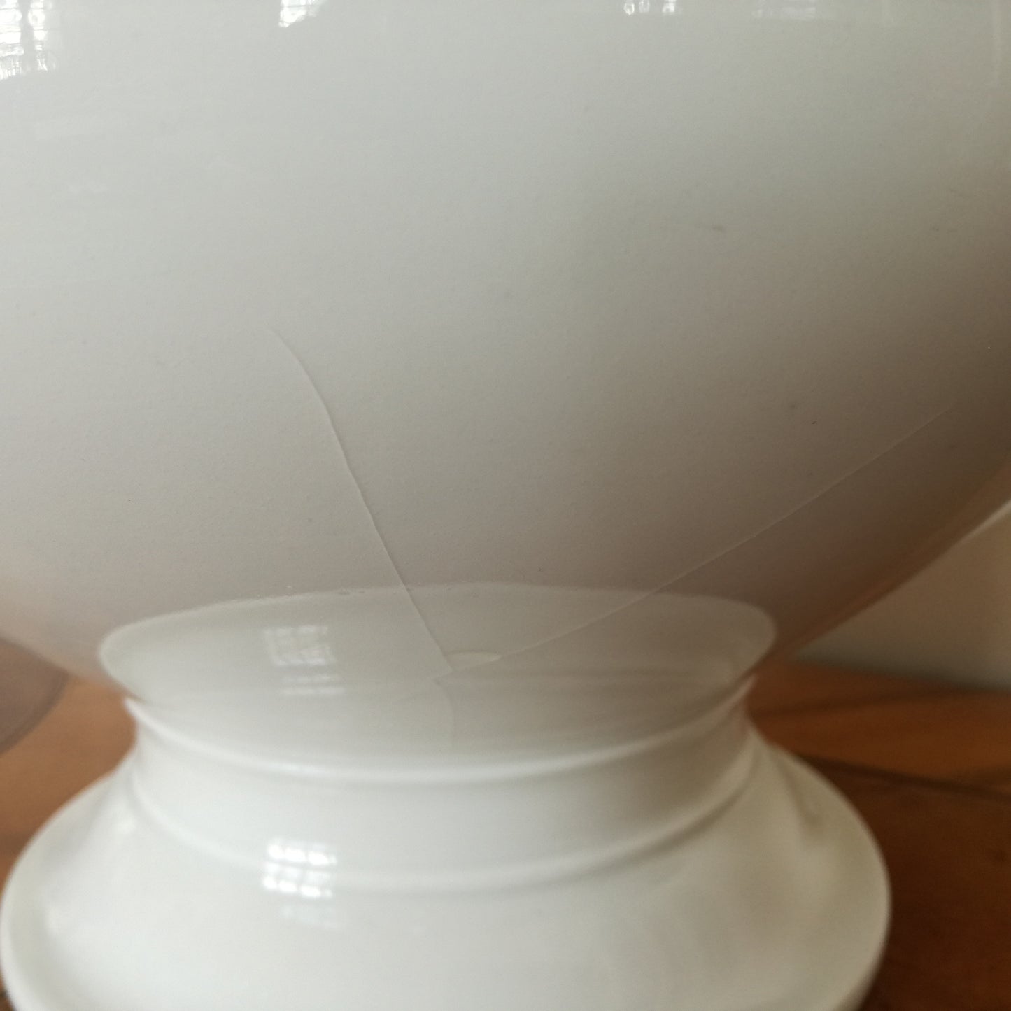 Grande soupière en porcelaine à décor de feuilles d'artichaut