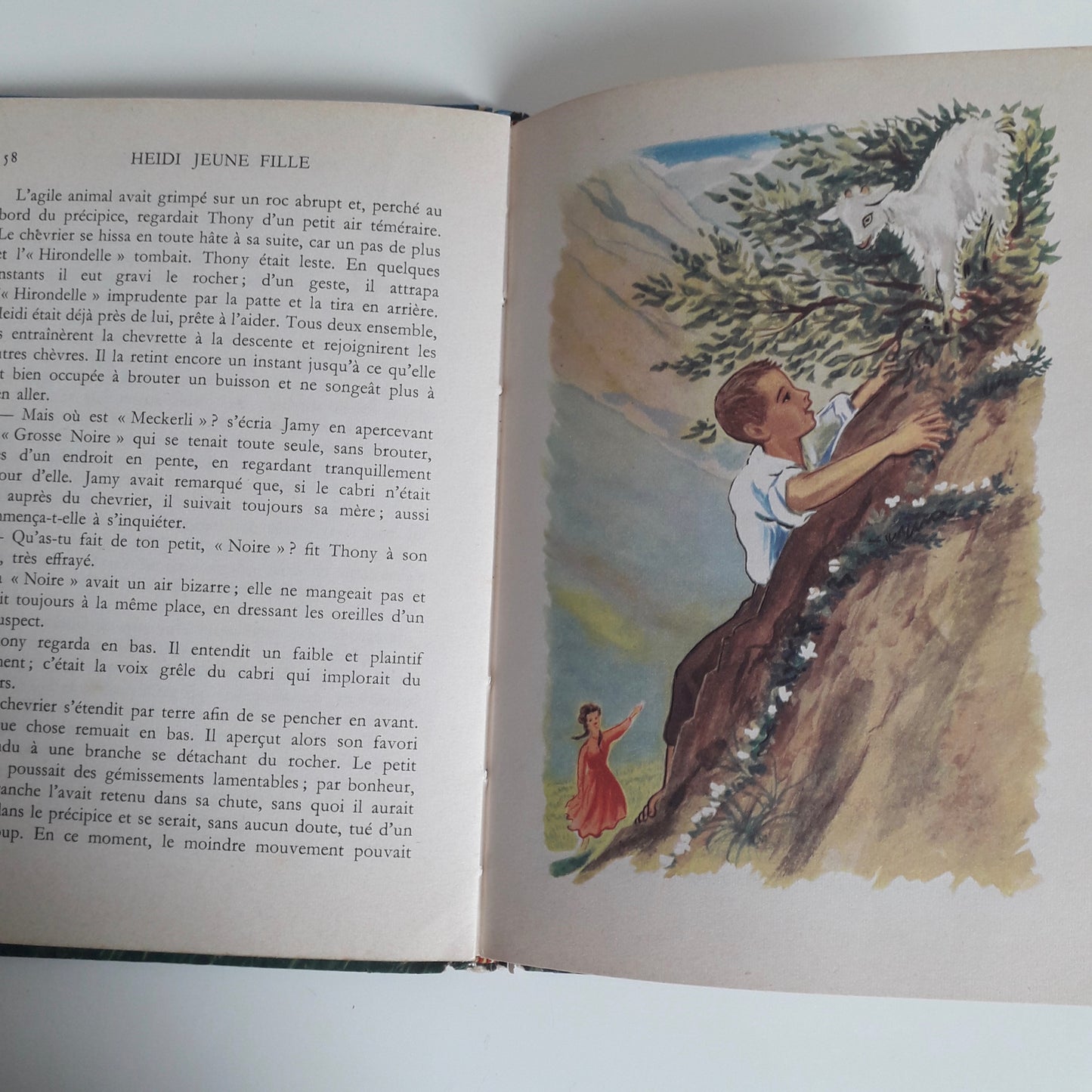 Livre de poche Flammarion