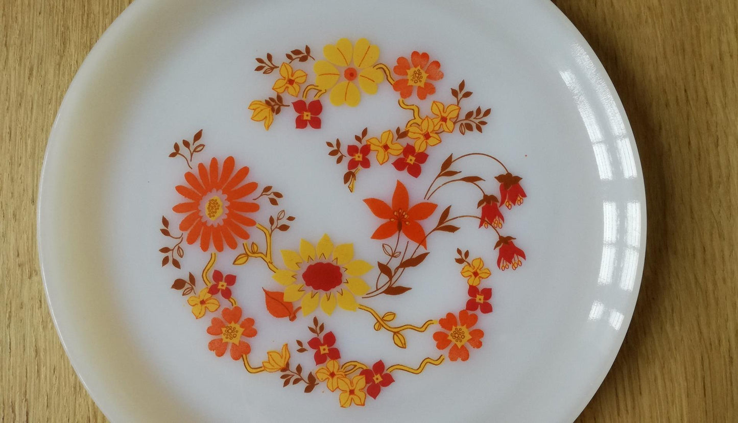 Assiette Arcopal