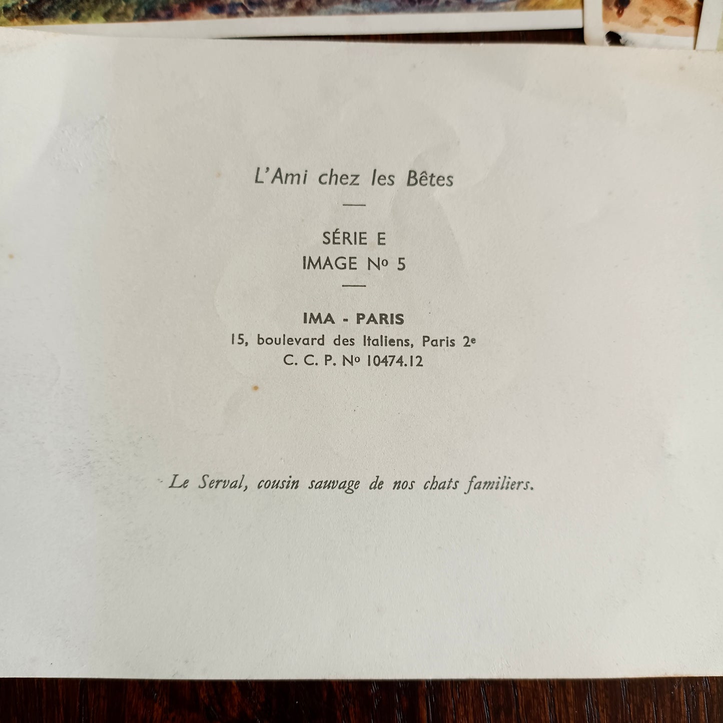Image L'ami chez les bêtes IMA Éditeur