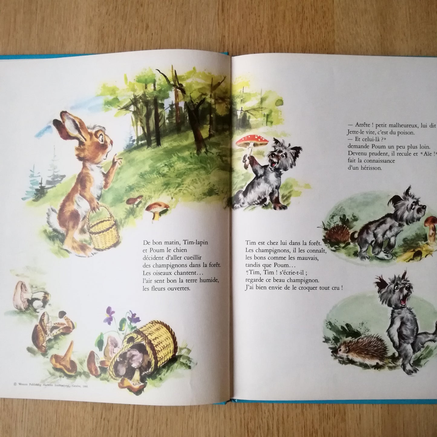 Livre jeunesse Le Jardin des Rêves