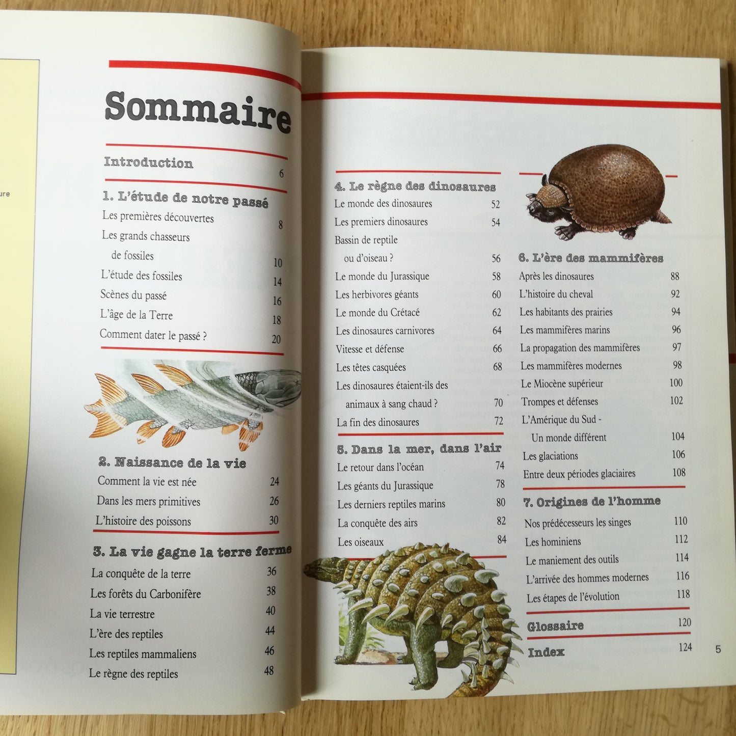 Livre jeunesse L'Encyclopédie junior en couleurs