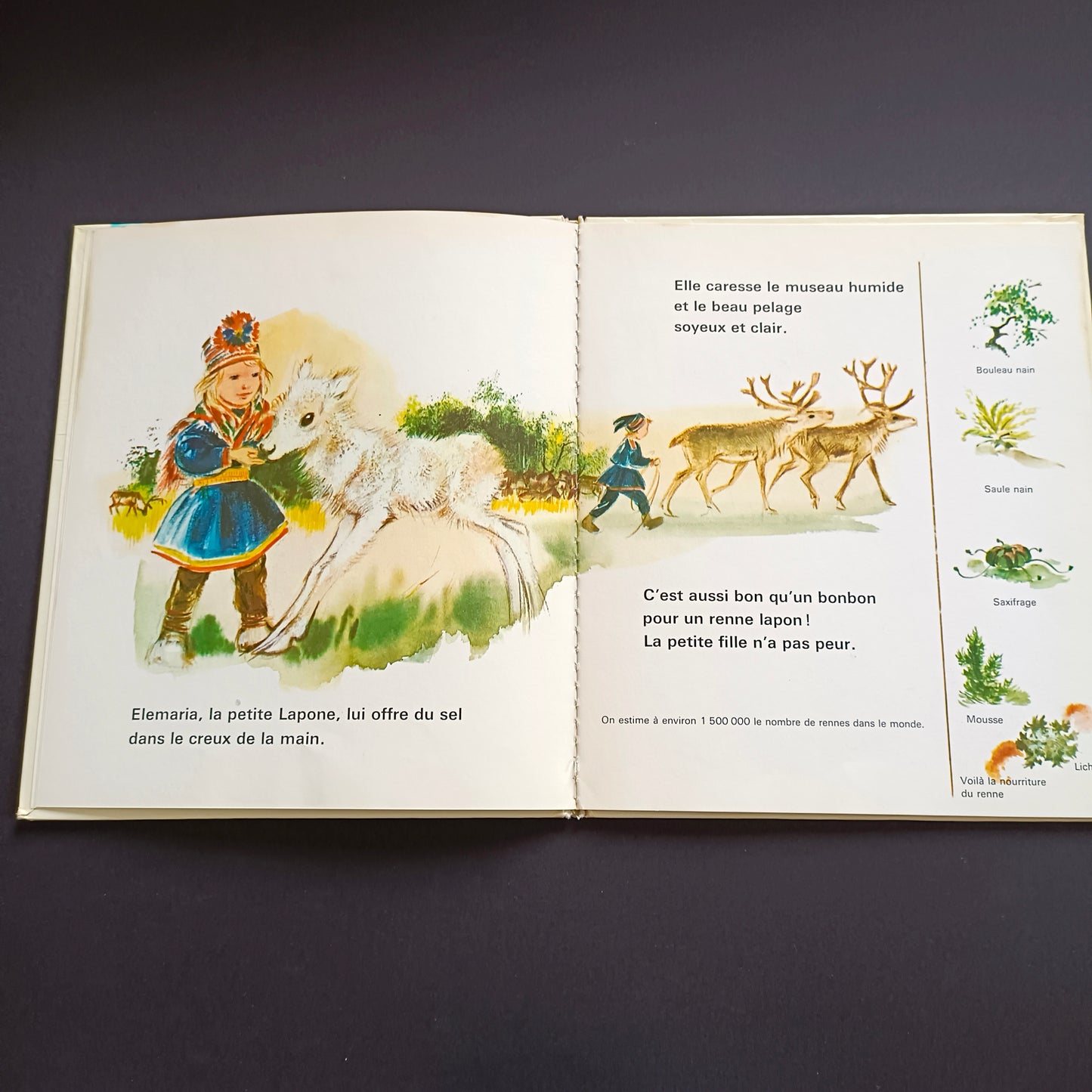 Livre jeunesse Un Album Coccinelle Fernand Nathan