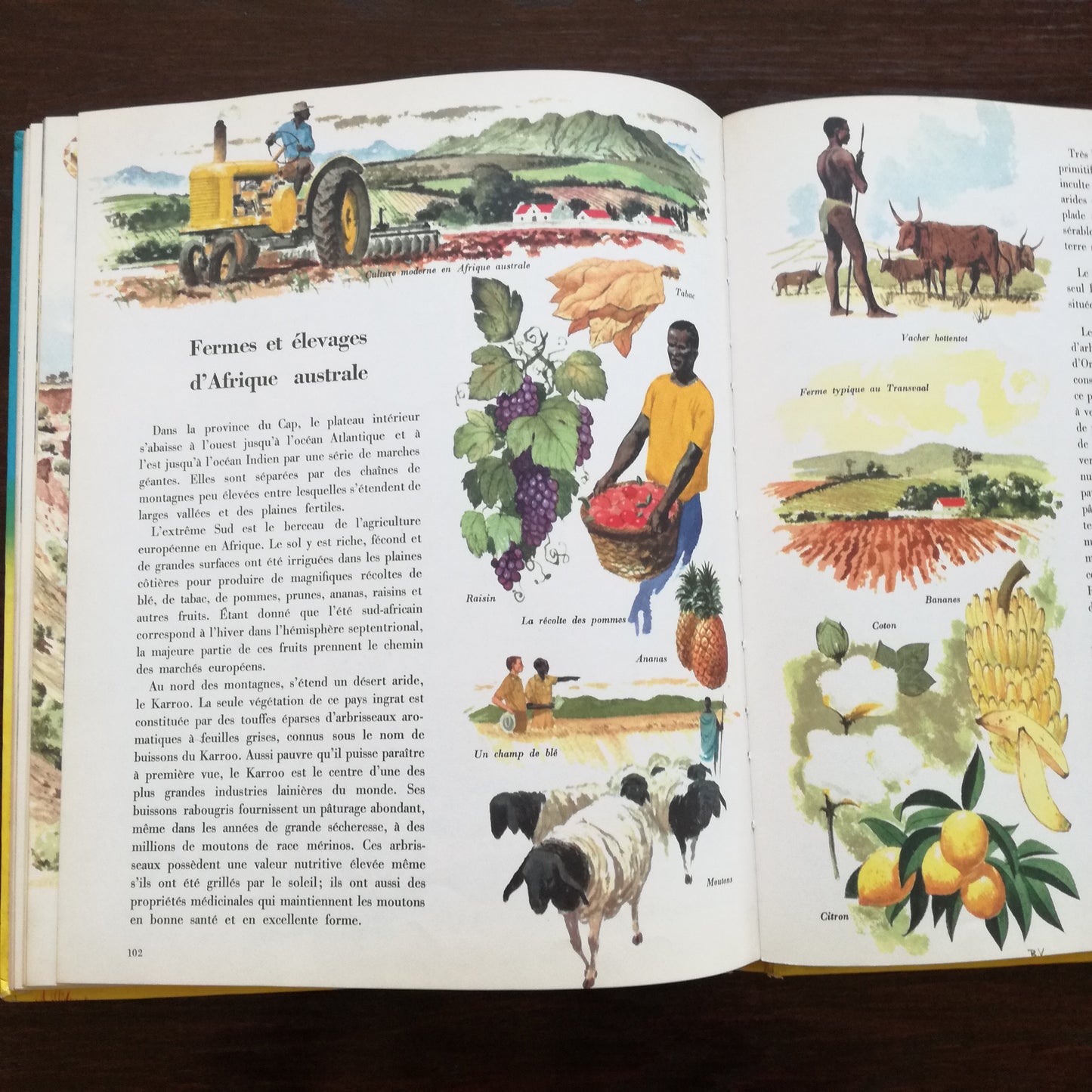 Encyclopédie Encyclopédie en couleurs Hachette