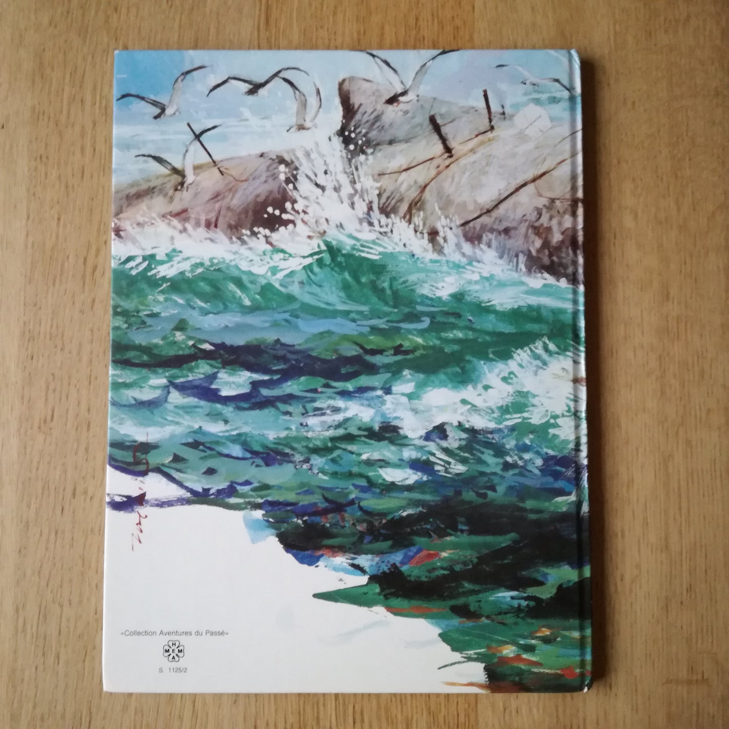 Livre jeunesse Aventures du Passé Hemma