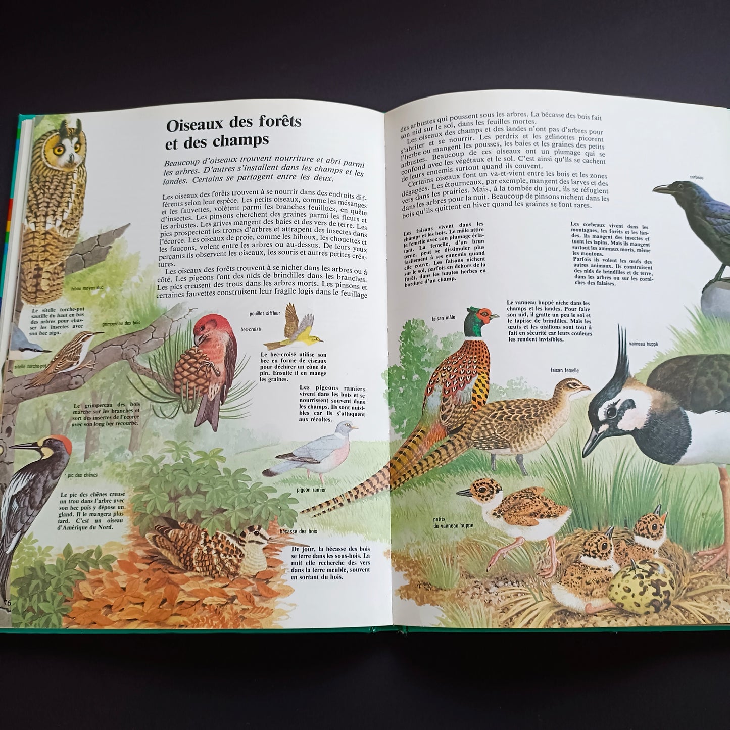 Livre scientifique Hachette