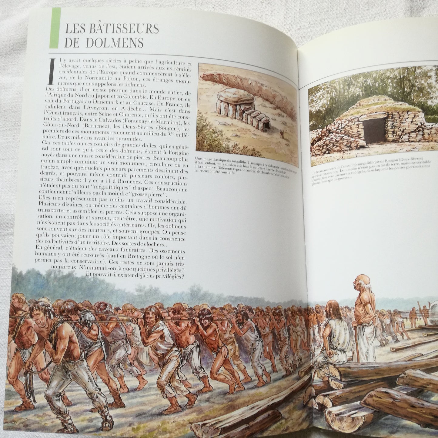 Livre Histoire & Géographie L'histoire des hommes Casterman