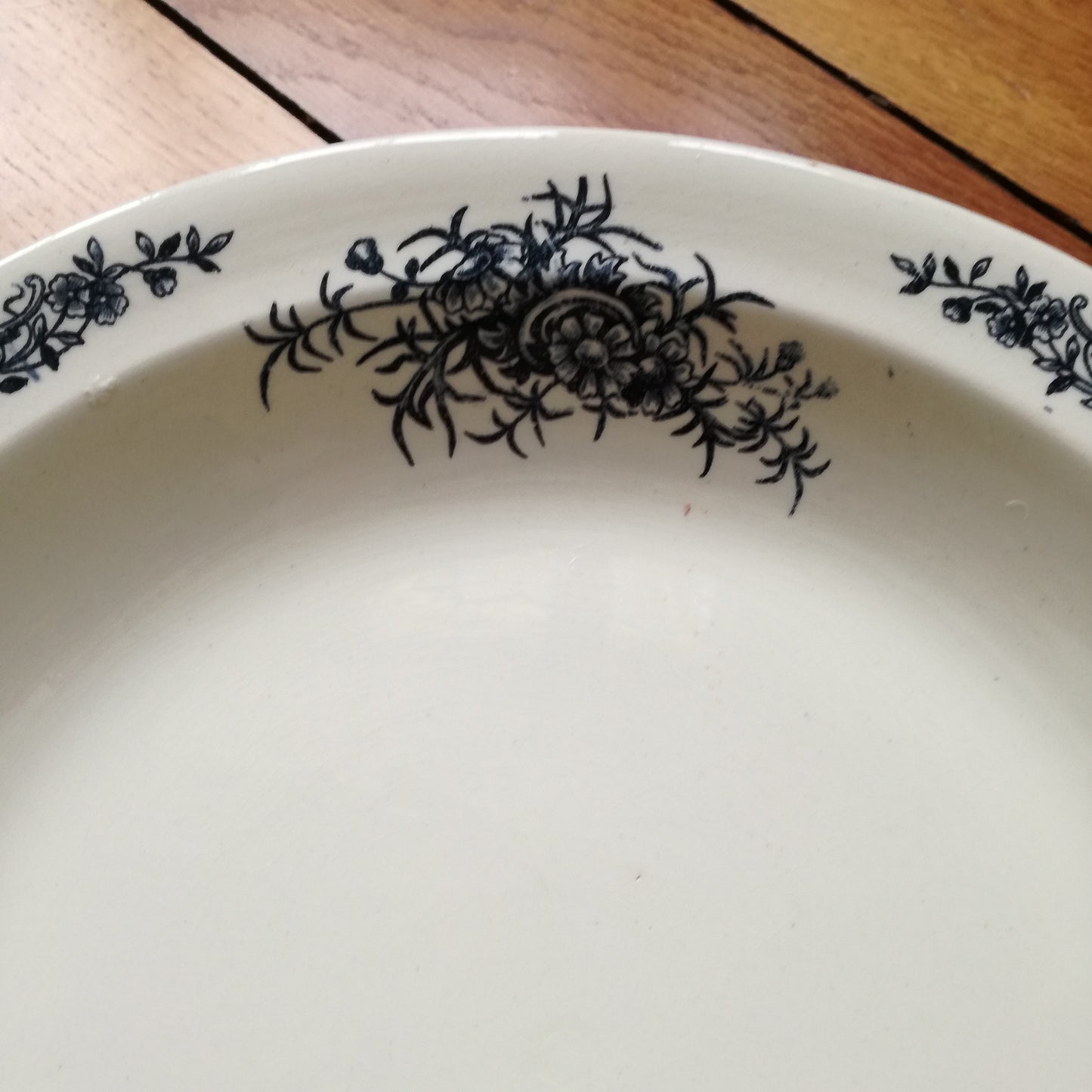 Plat Rocaille Salins