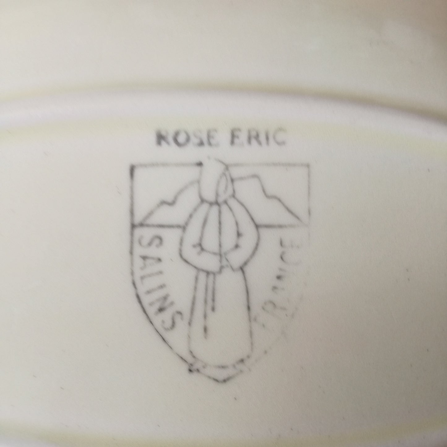 Ravier Rose Éric Salins