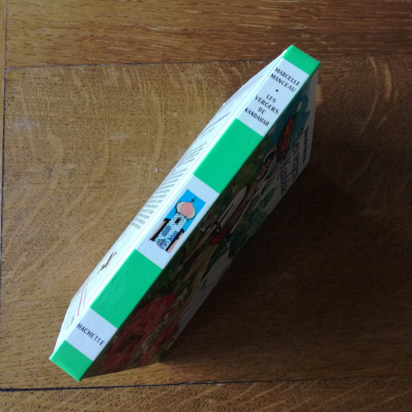 Livre jeunesse Bibliothèque Verte Hachette