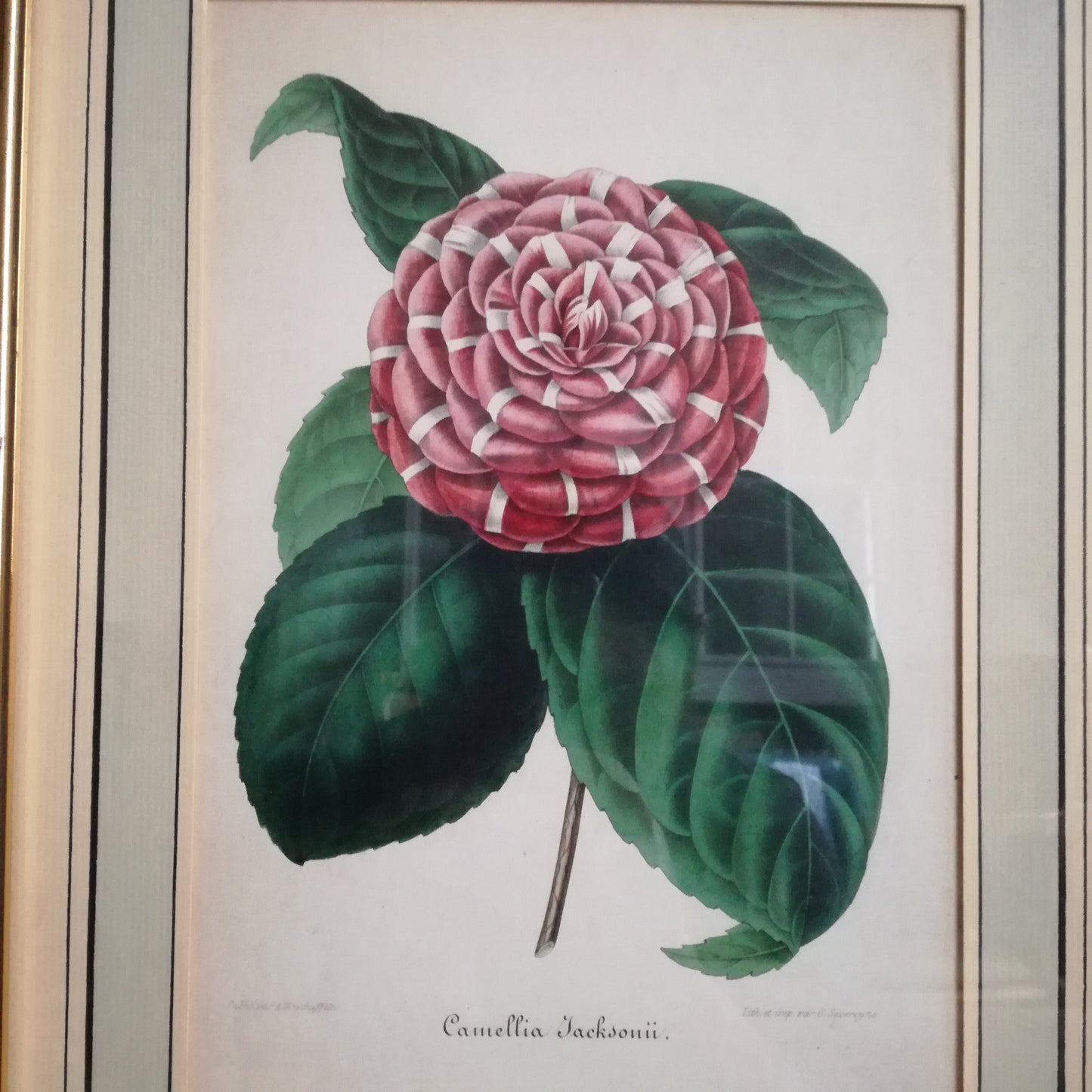 Gravure