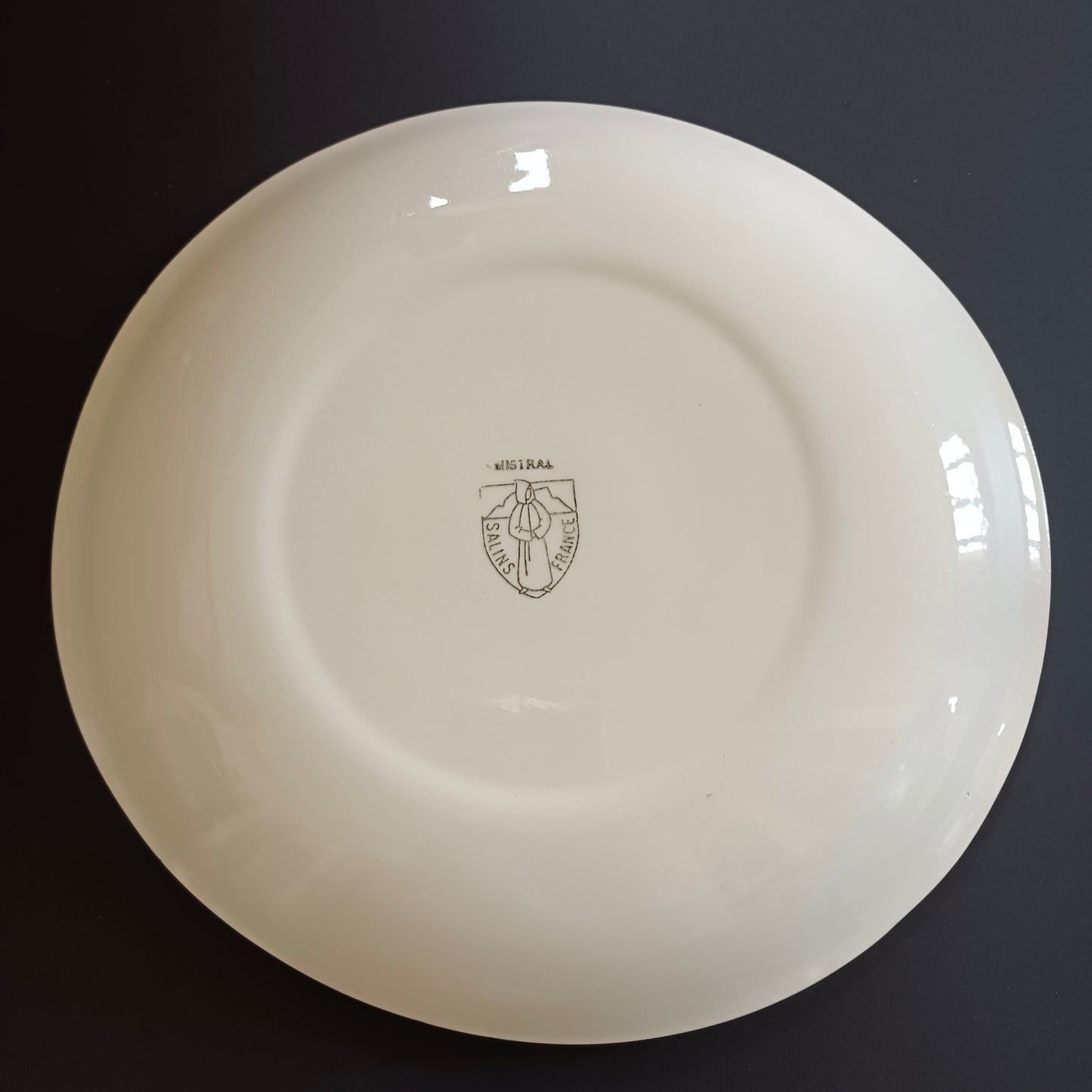 Plat Mistral Salins