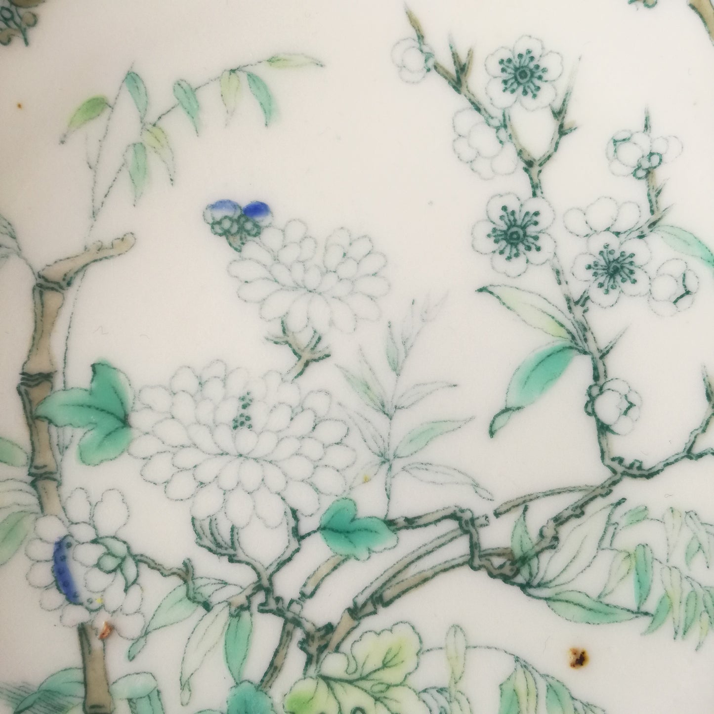 Coupelle 2642 Minton (GB)