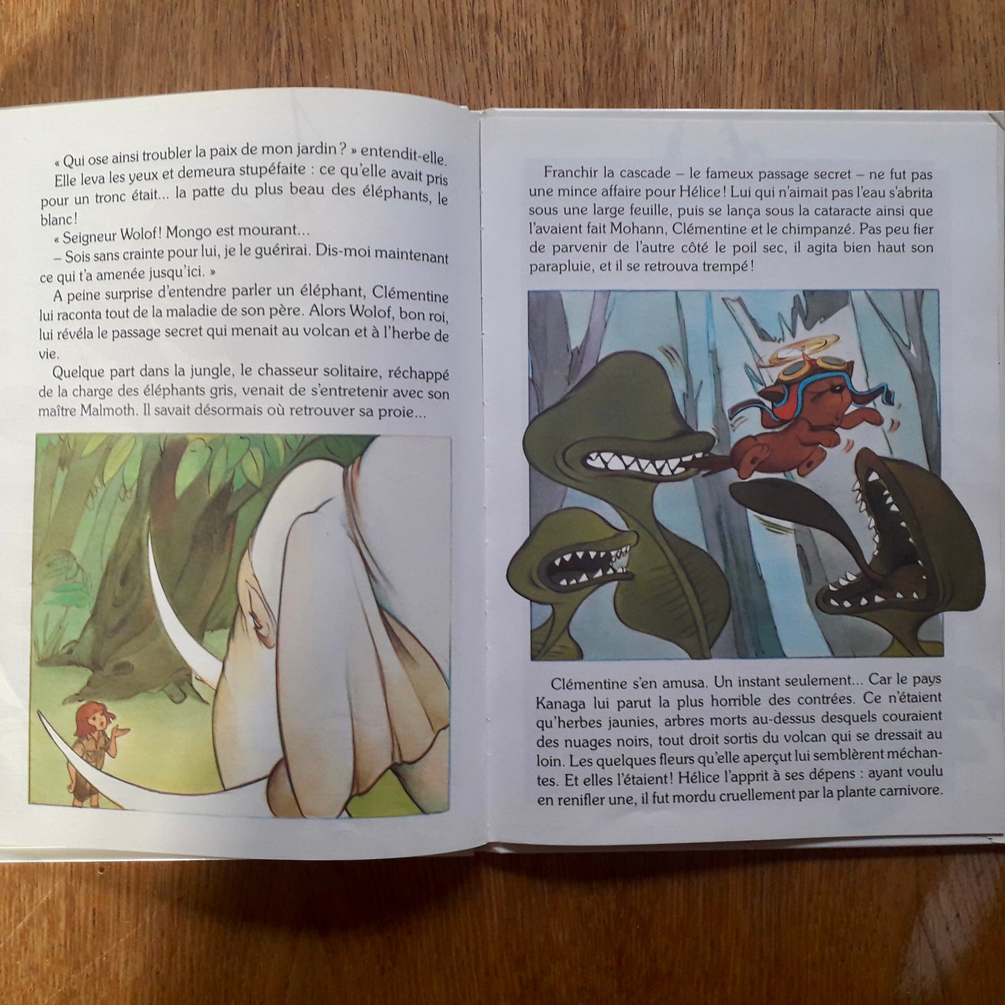 Livre jeunesse