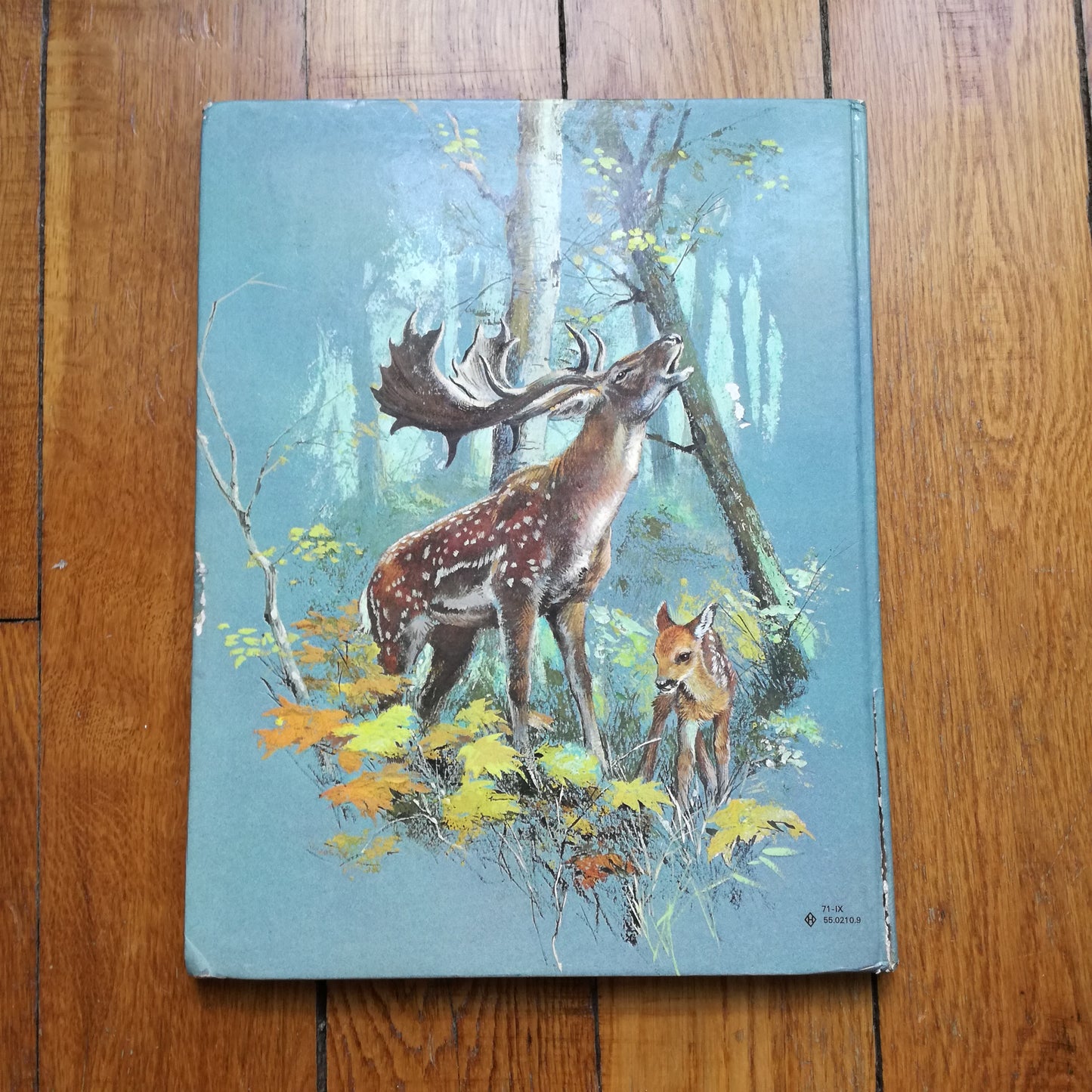 Livre jeunesse Bébés animaux des 5 continents Odège