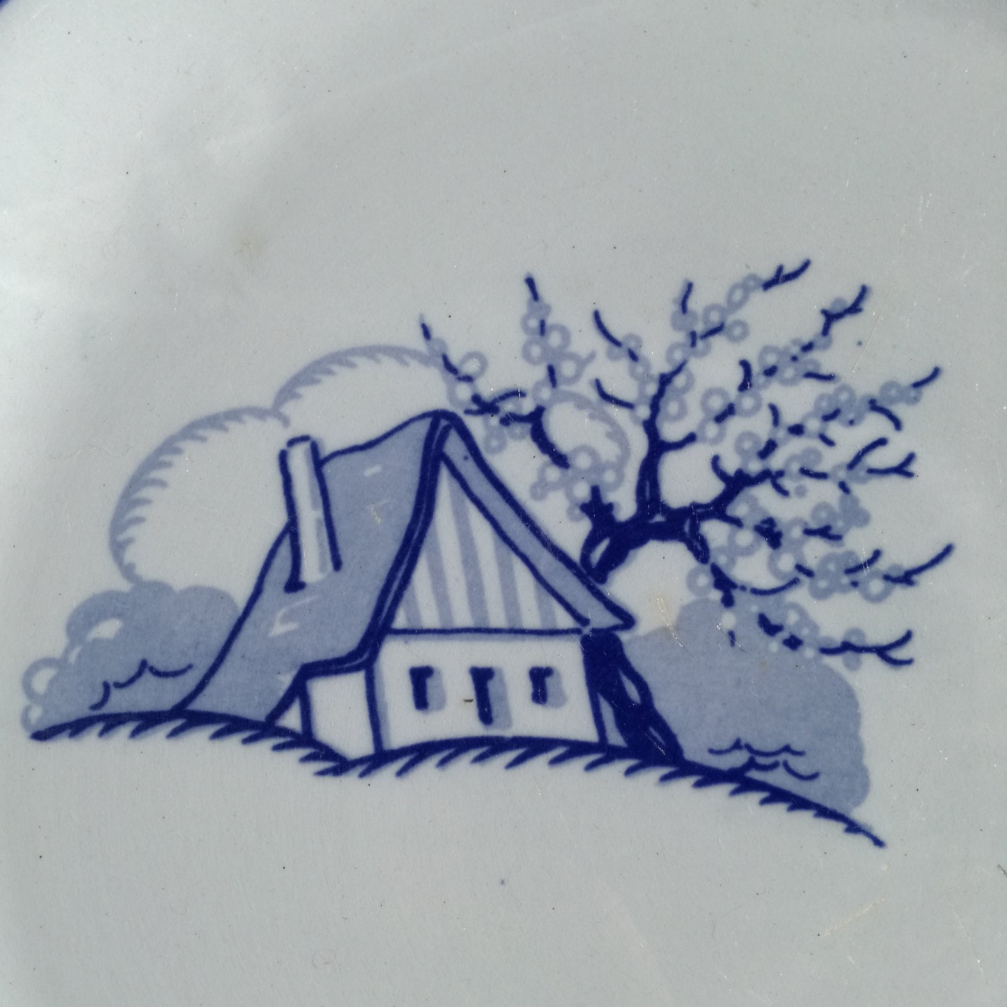 Plat Aubépine Sarreguemines