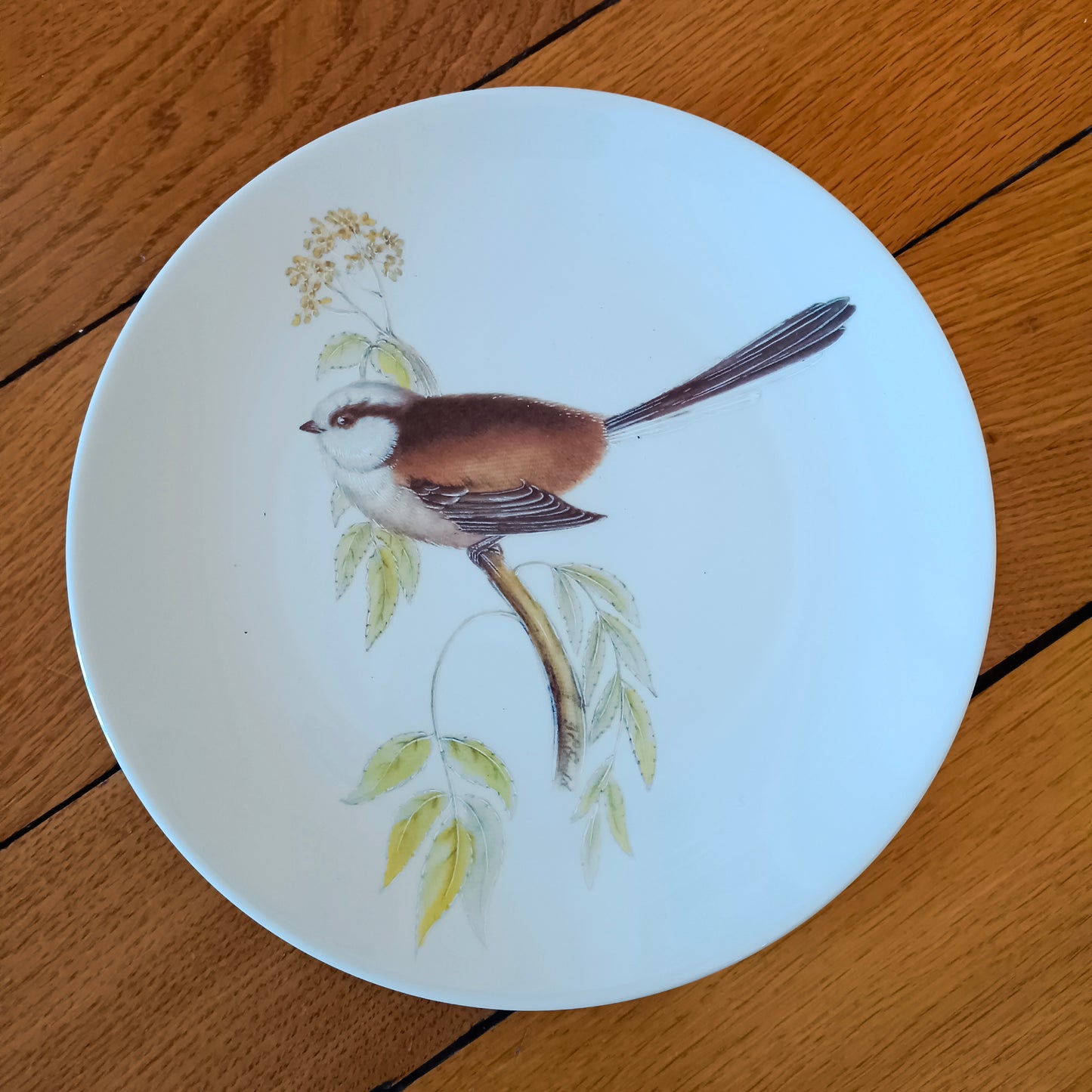 Assiette Porcelaine de Sologne