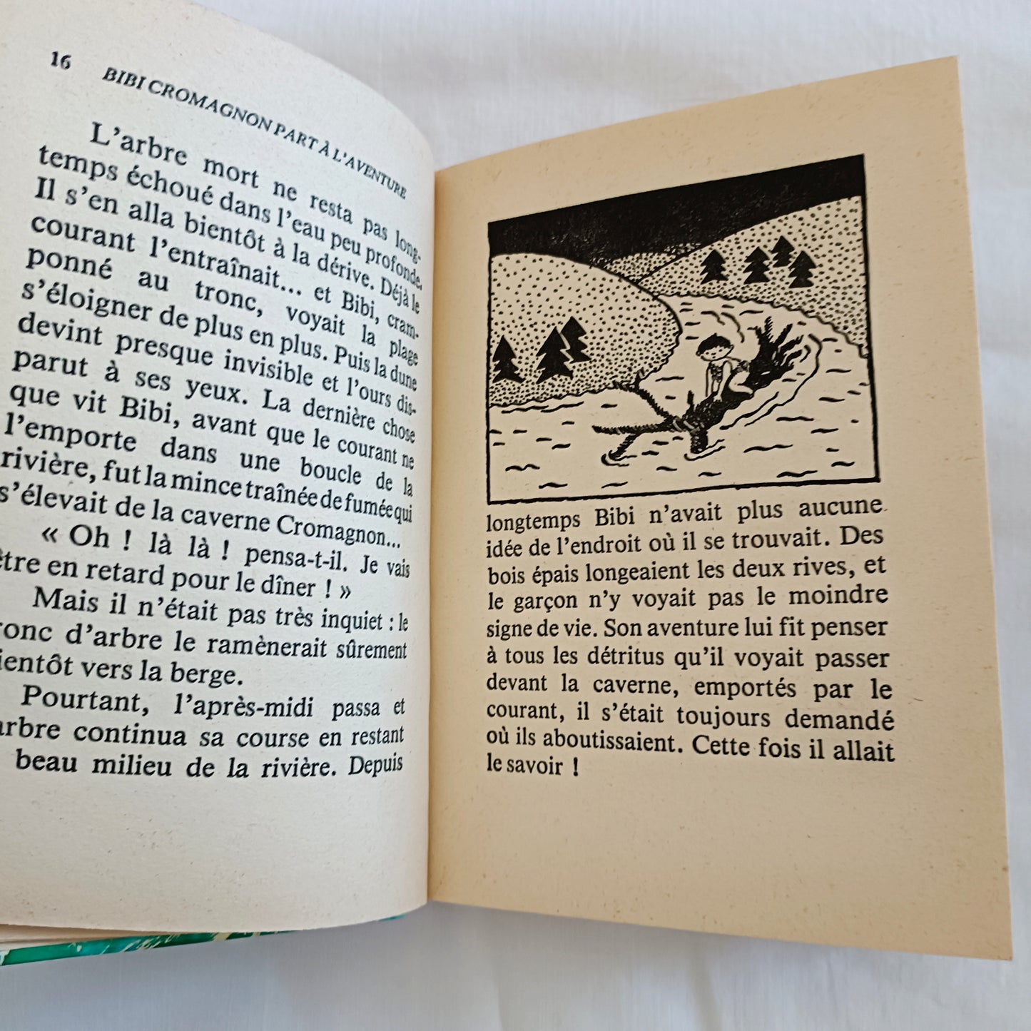 Livre jeunesse Bibliothèque Rose Hachette