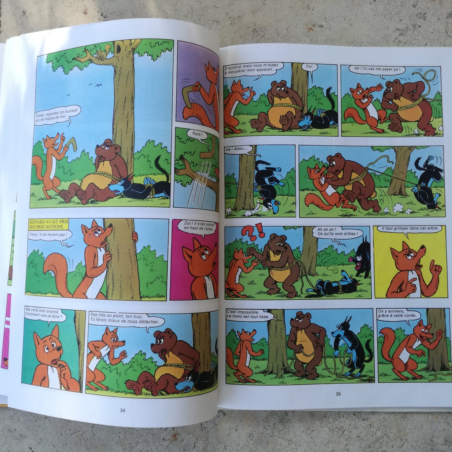 Livre - BD (Bande dessinée) Sylvain et Sylvette Fleurus