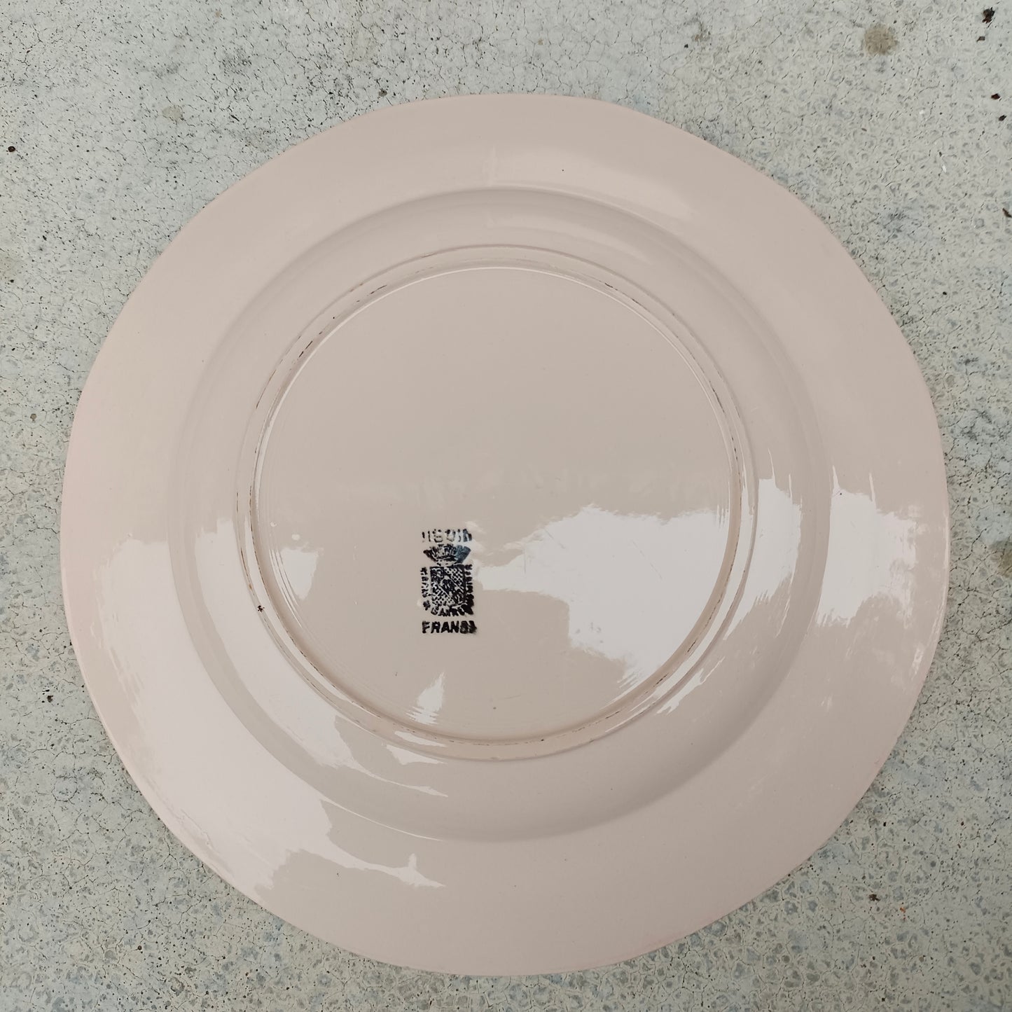 Plat Digoin & Sarreguemines