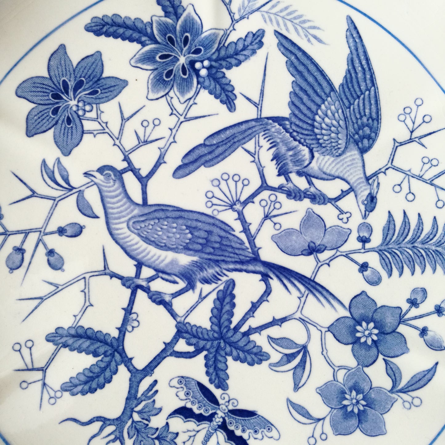 Compotier Eden Villeroy & Boch