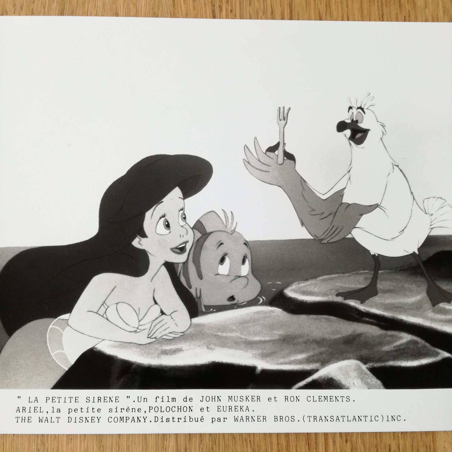 Photographie Walt Disney