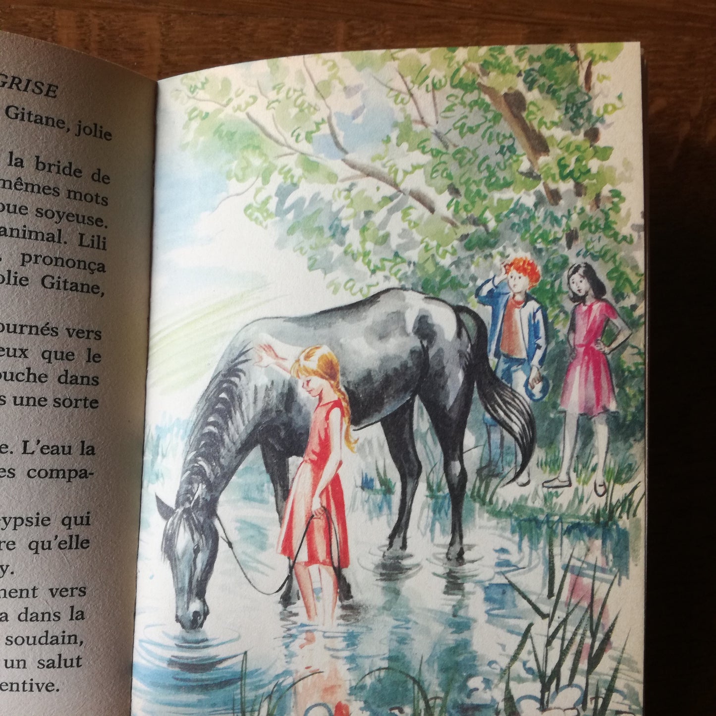 Livre jeunesse Lili Hachette