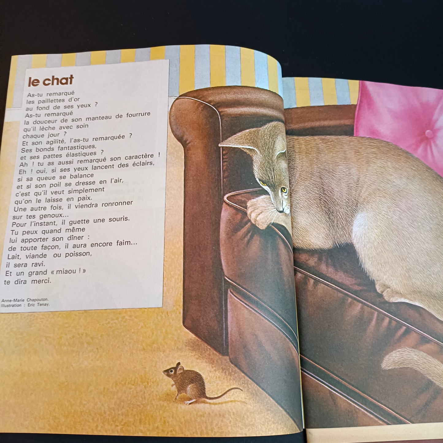 Revue / Magazine Pomme d'Api