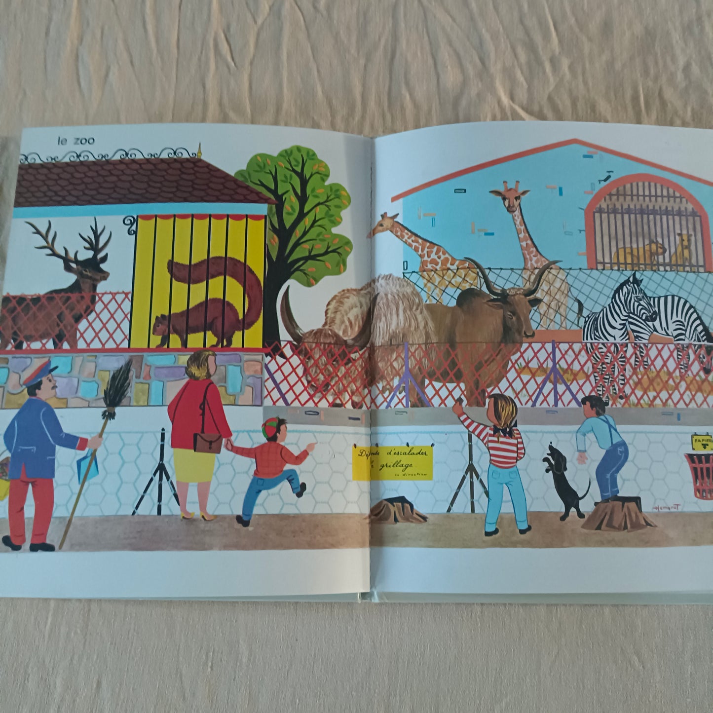 Livre jeunesse Papillons Bias
