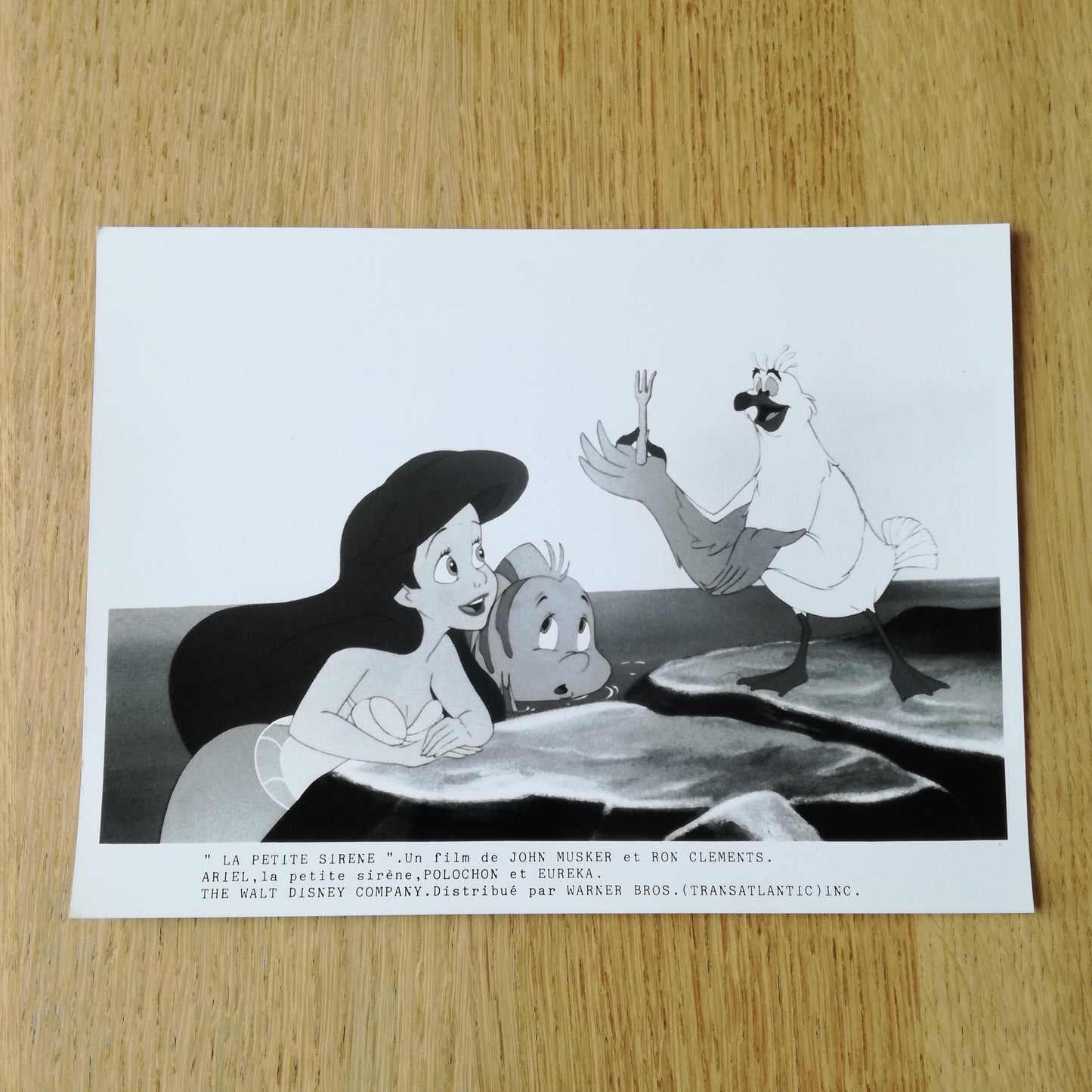 Photographie Walt Disney