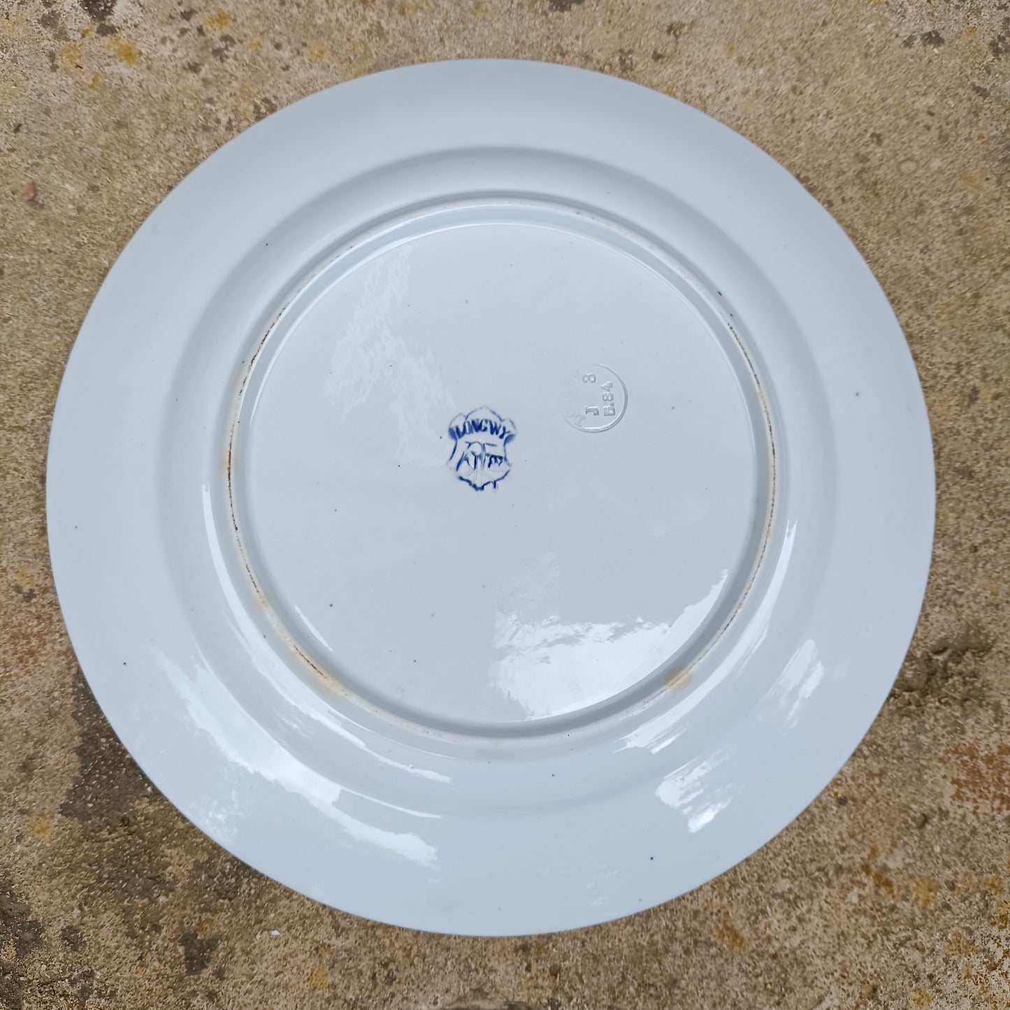 Assiette - grande plate Kioto Longwy