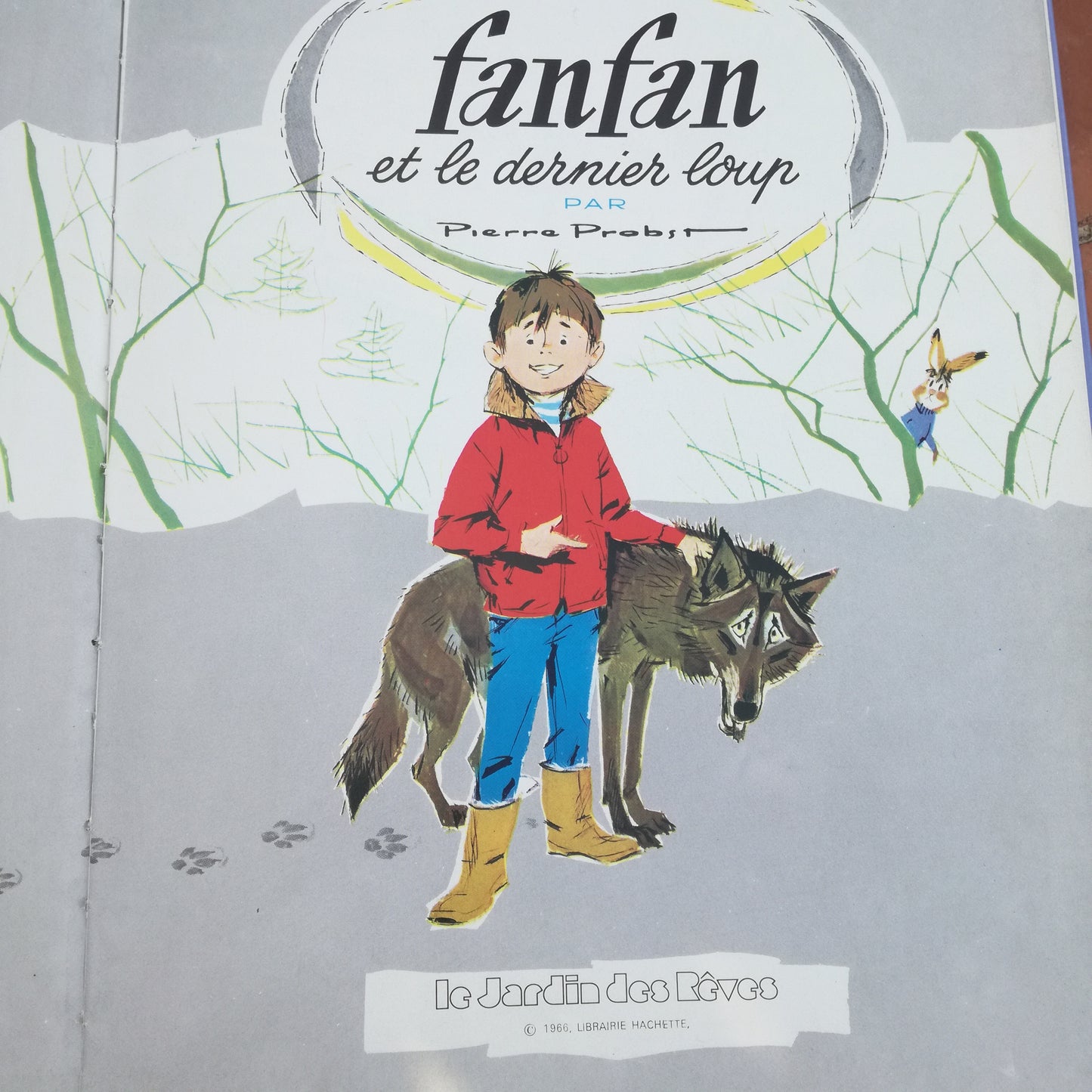 Livre jeunesse Le Jardin des Rêves Hachette